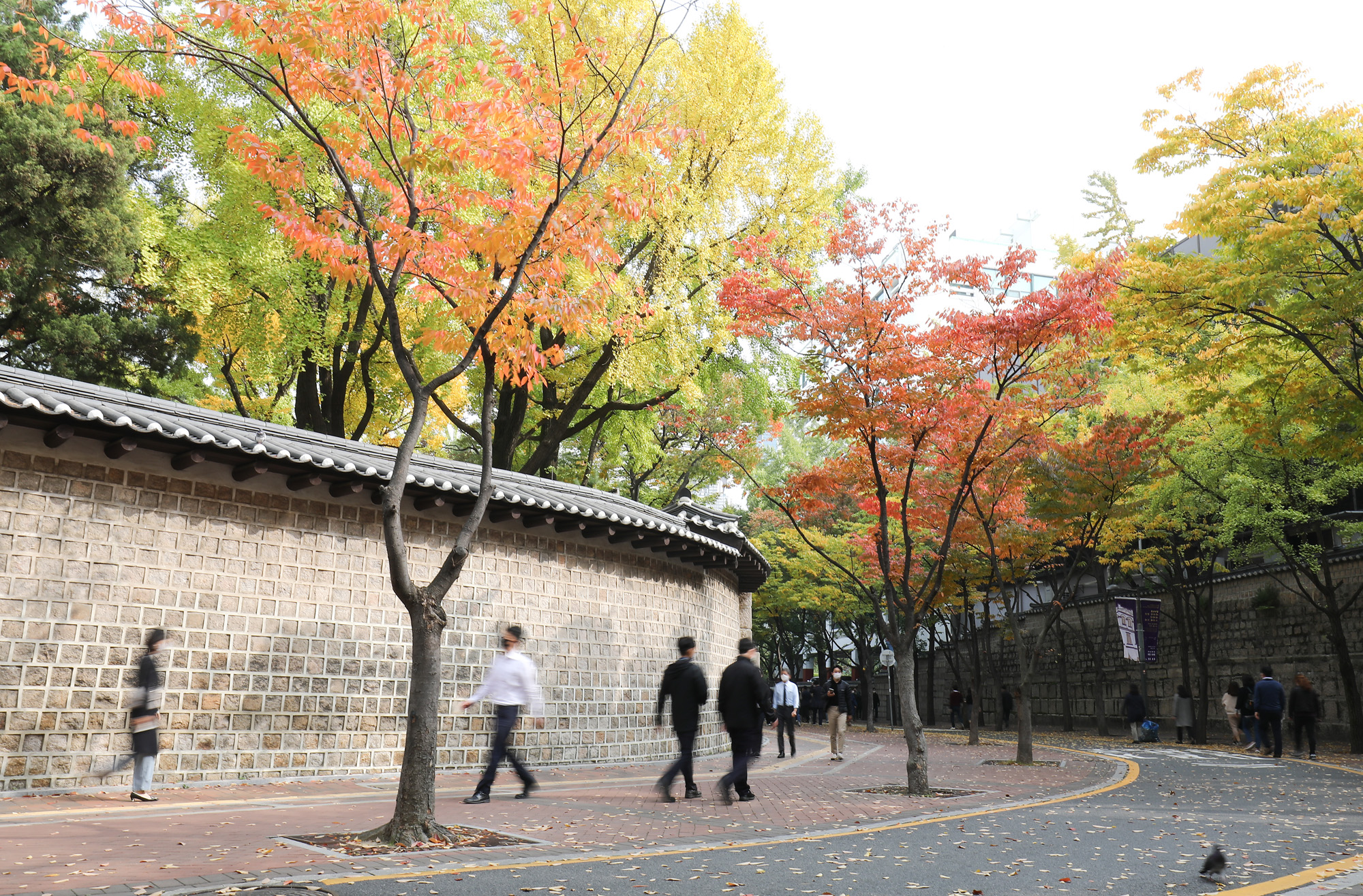 덕수궁길;단풍;덕수궁단풍;가을