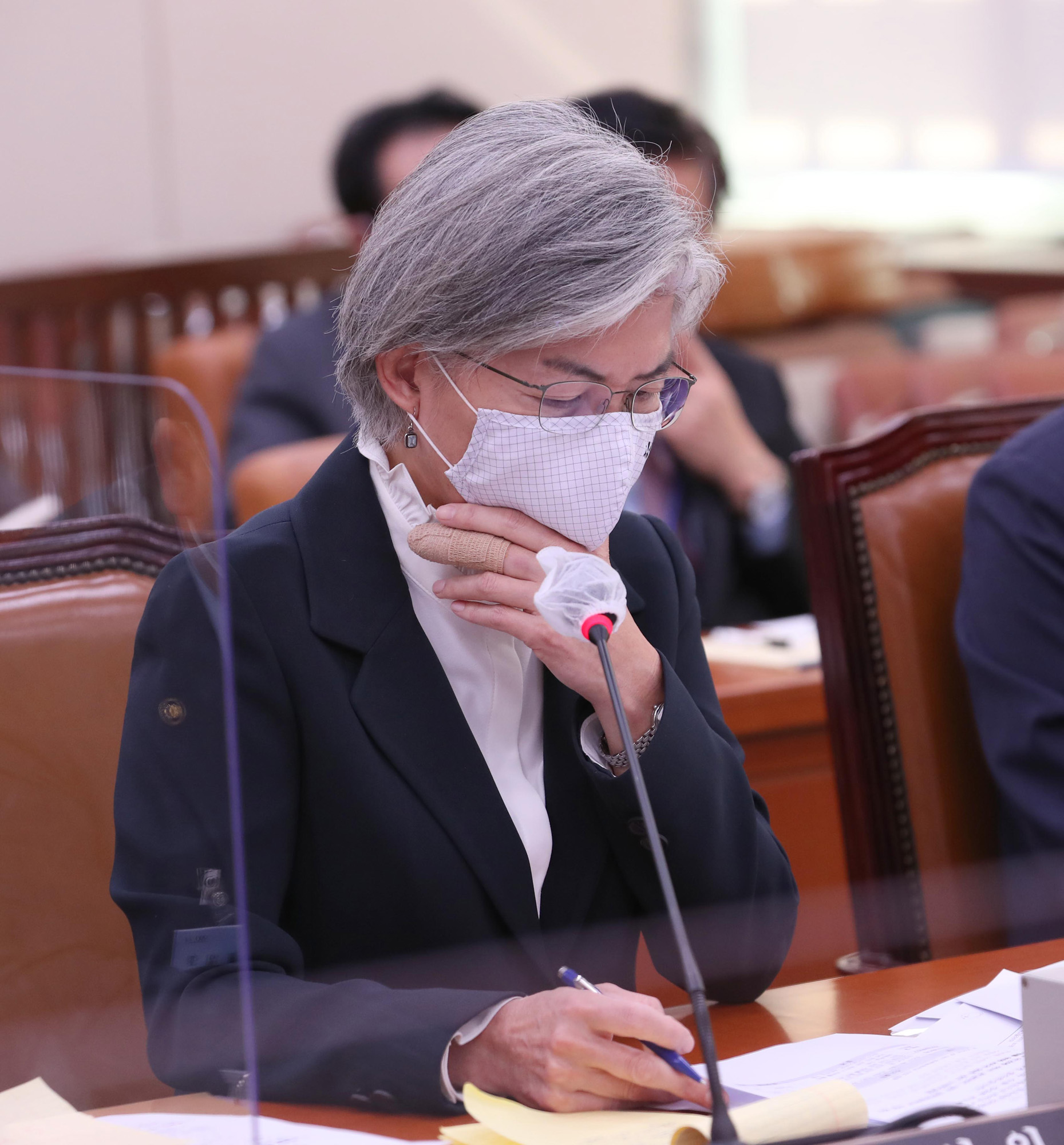 정치;국회;외교통일위원회;강경화장관;외교부국정감사
