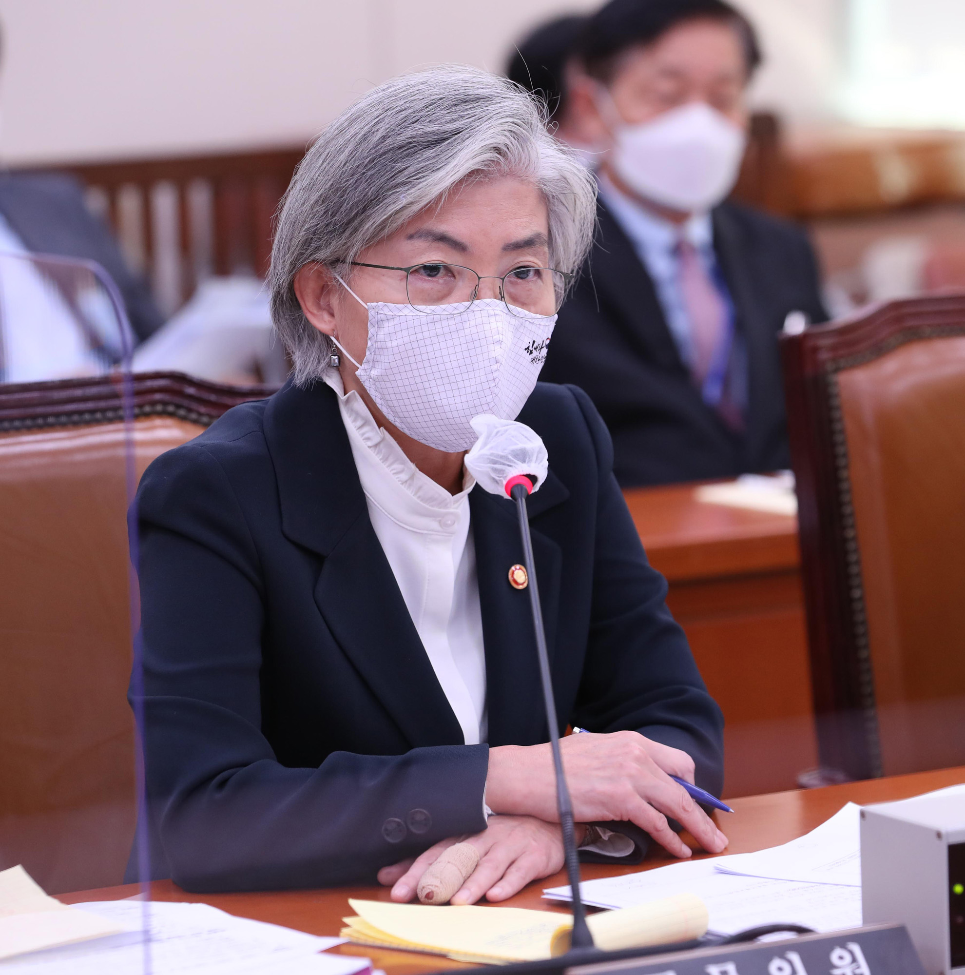 정치;국회;외교통일위원회;강경화장관;외교부국정감사