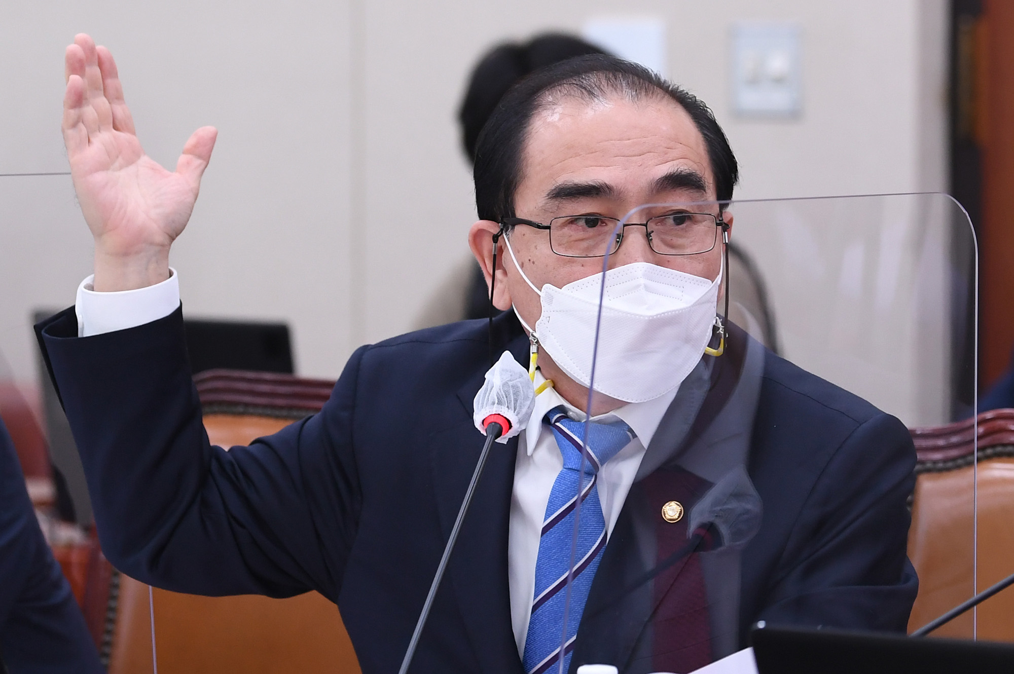 정치;국회;외교통일위원회;강경화장관;외교부국정감사;태영호