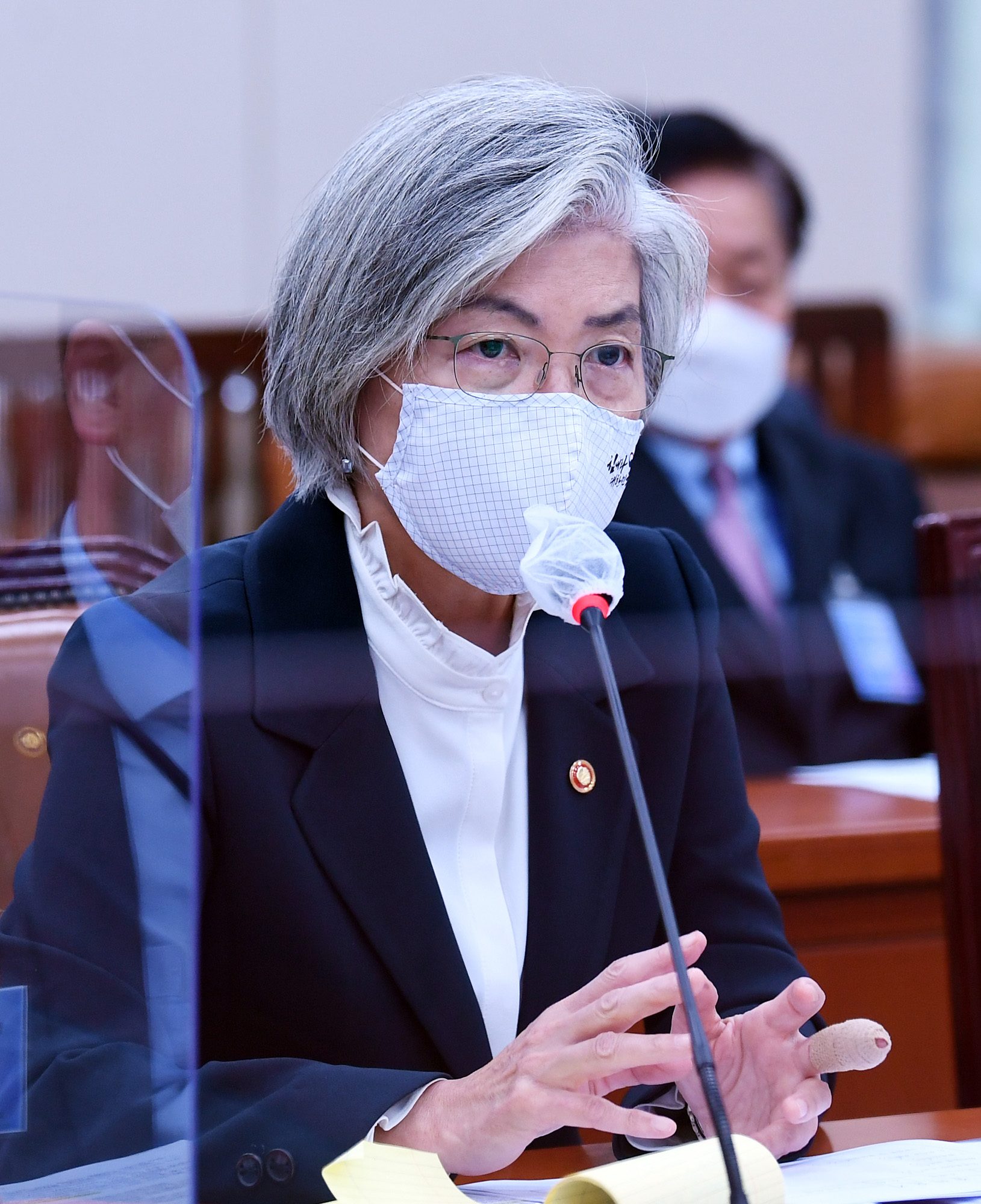정치;국정감사;외교통일위원회