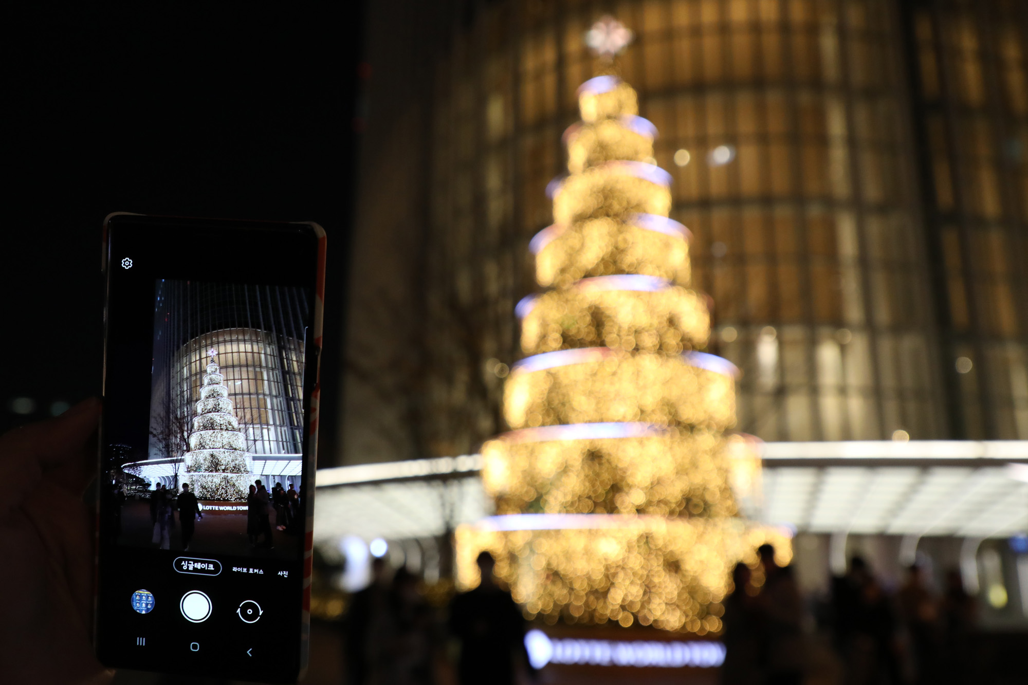 사회;롯데월드타워크리스마스트리;크리스마스트리