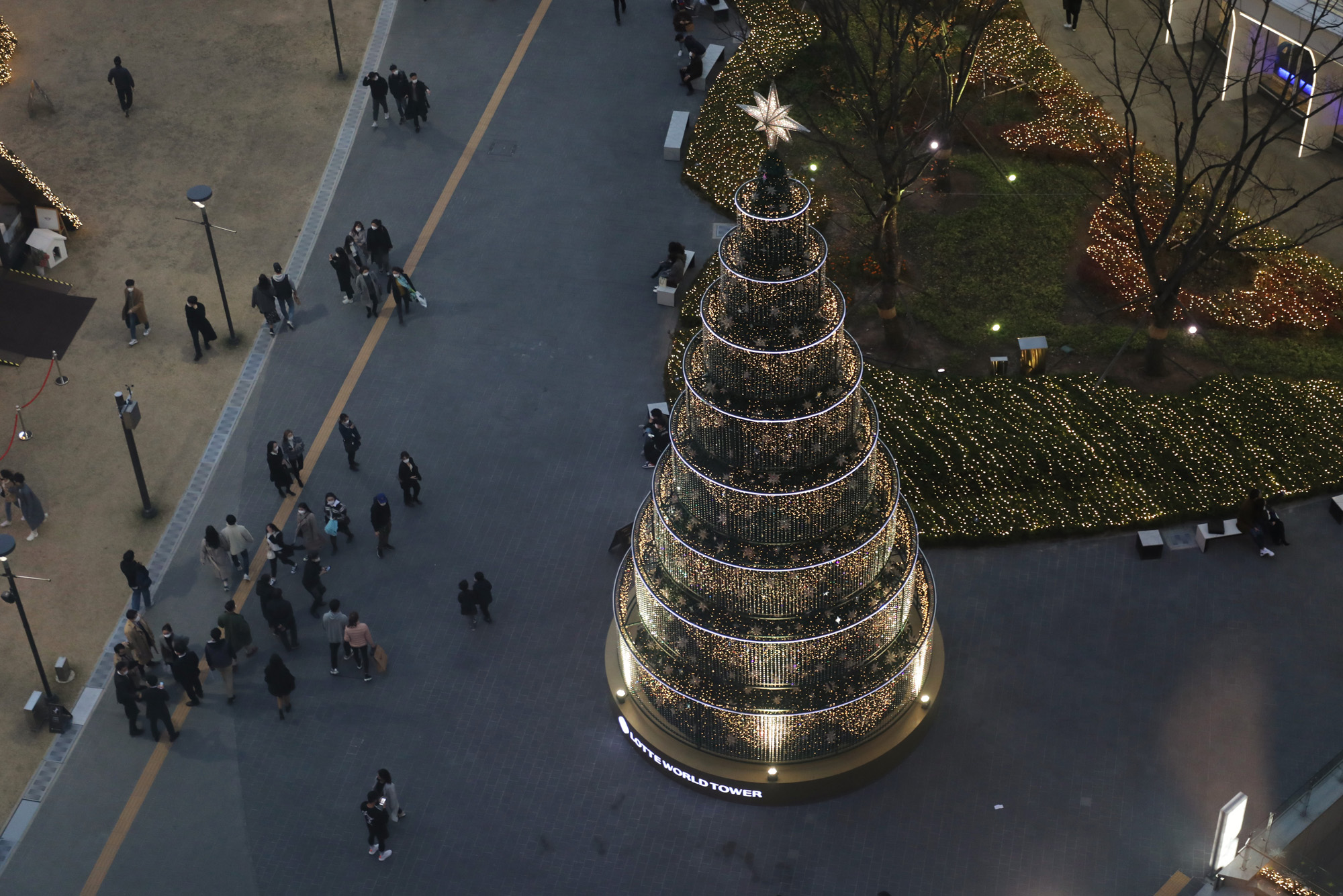 사회;롯데월드타워크리스마스트리;크리스마스트리