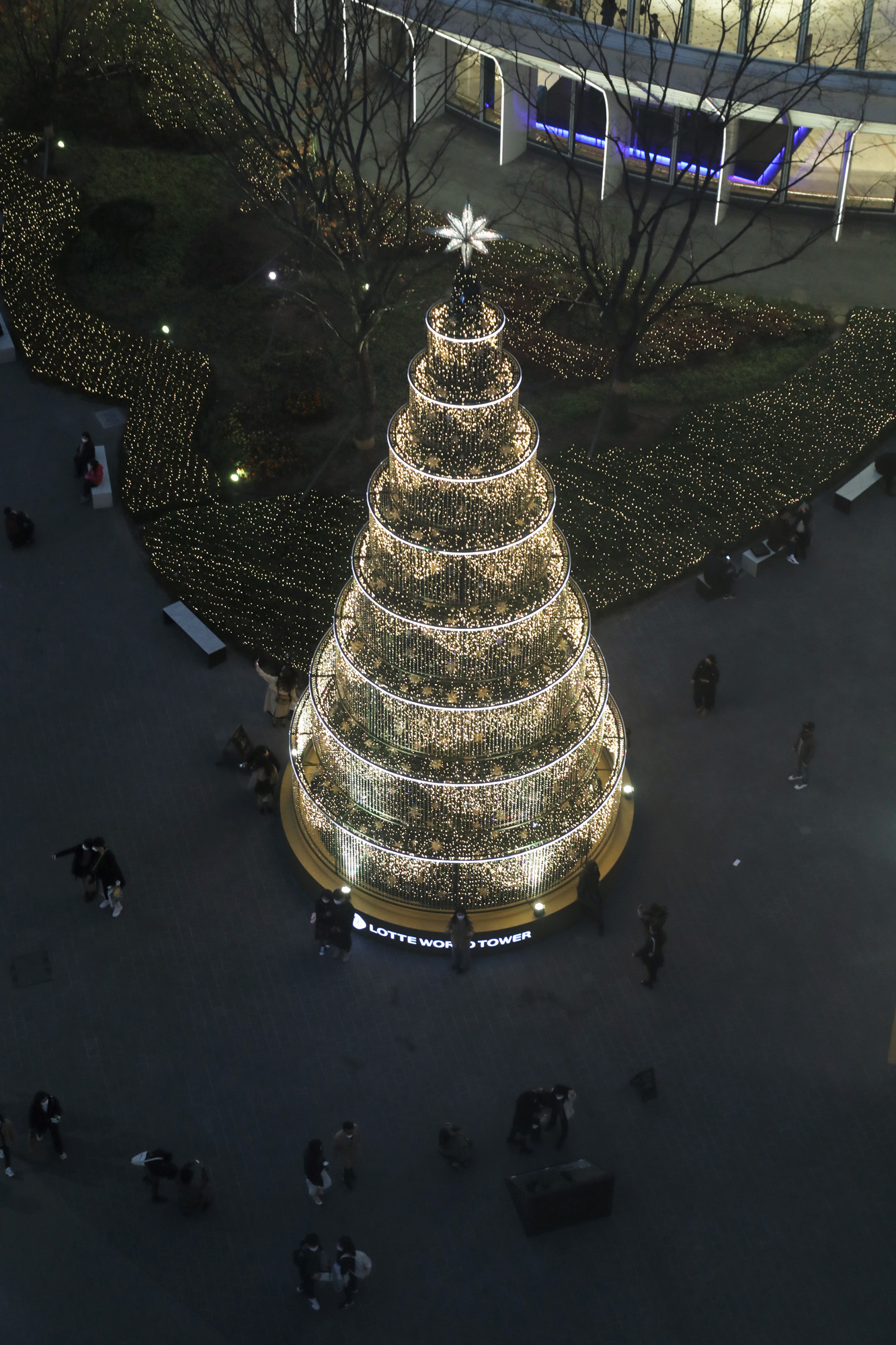 사회;롯데월드타워크리스마스트리;크리스마스트리