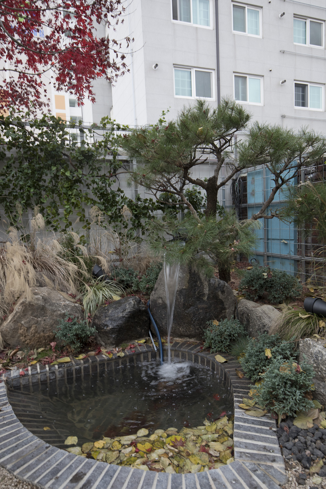 경제;세태;카페;꽃카페;플라워리카페;식물카페;원예카페