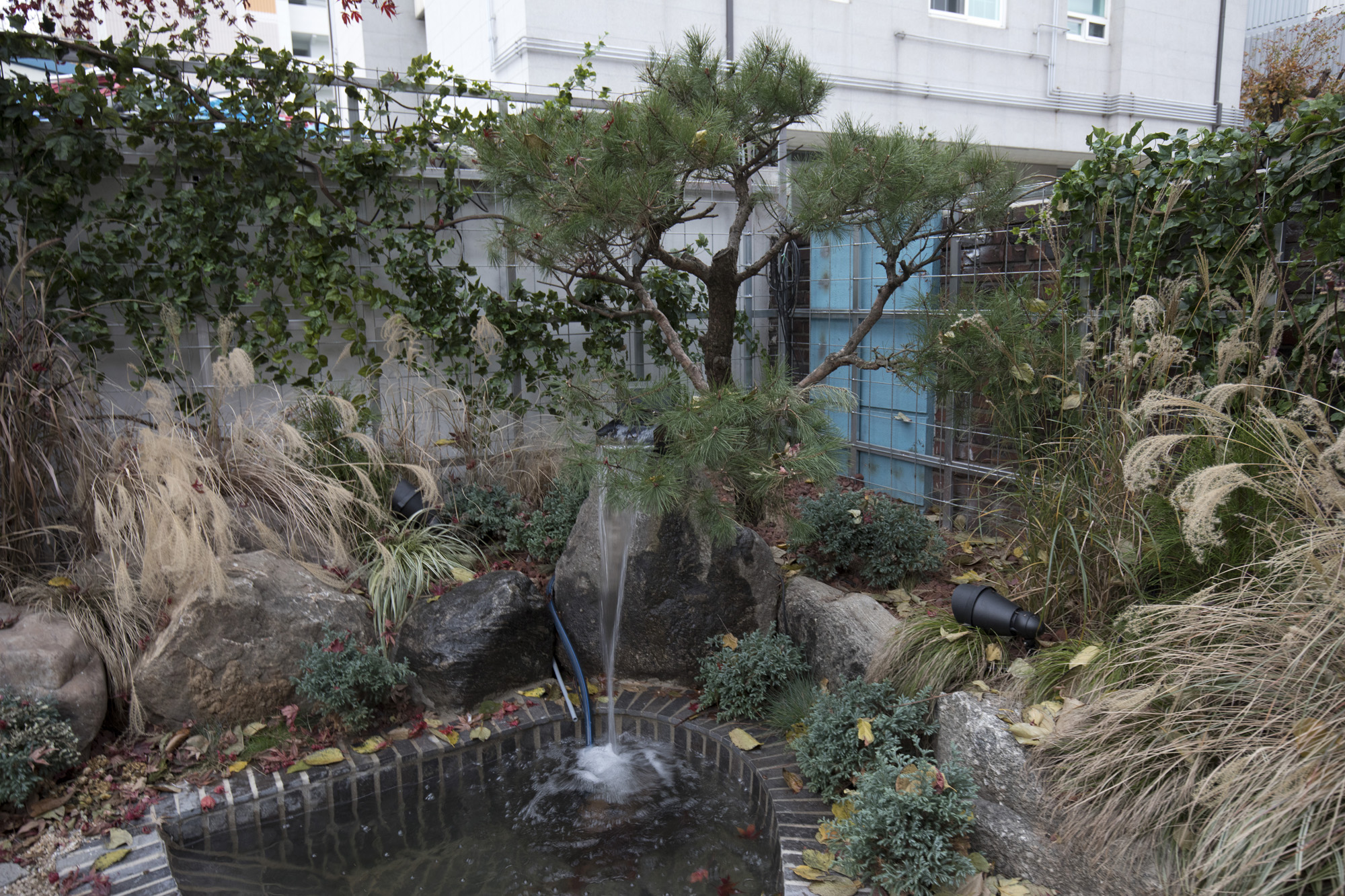 경제;세태;카페;꽃카페;플라워리카페;식물카페;원예카페