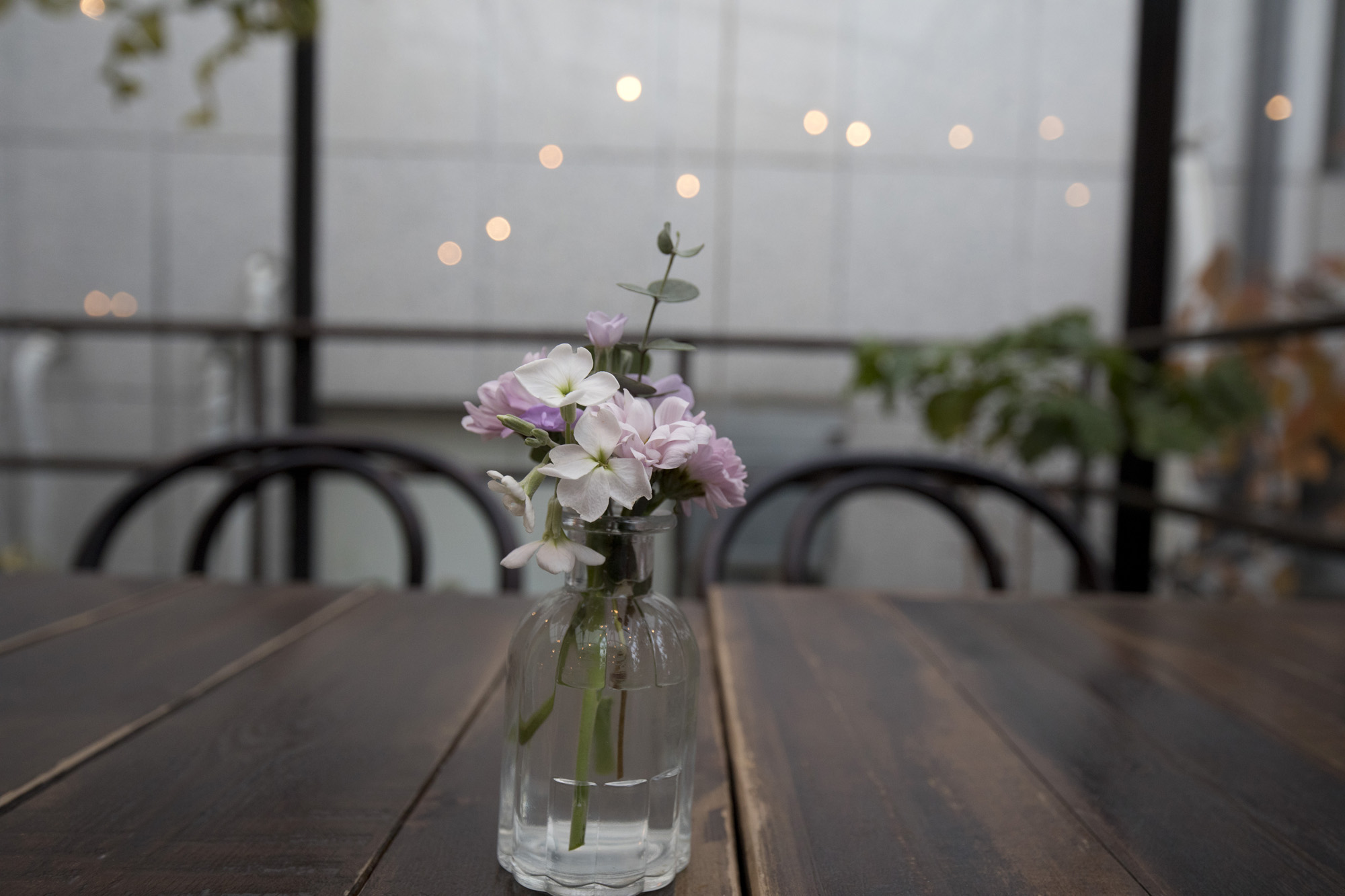 경제;세태;카페;꽃카페;플라워리카페;식물카페;원예카페