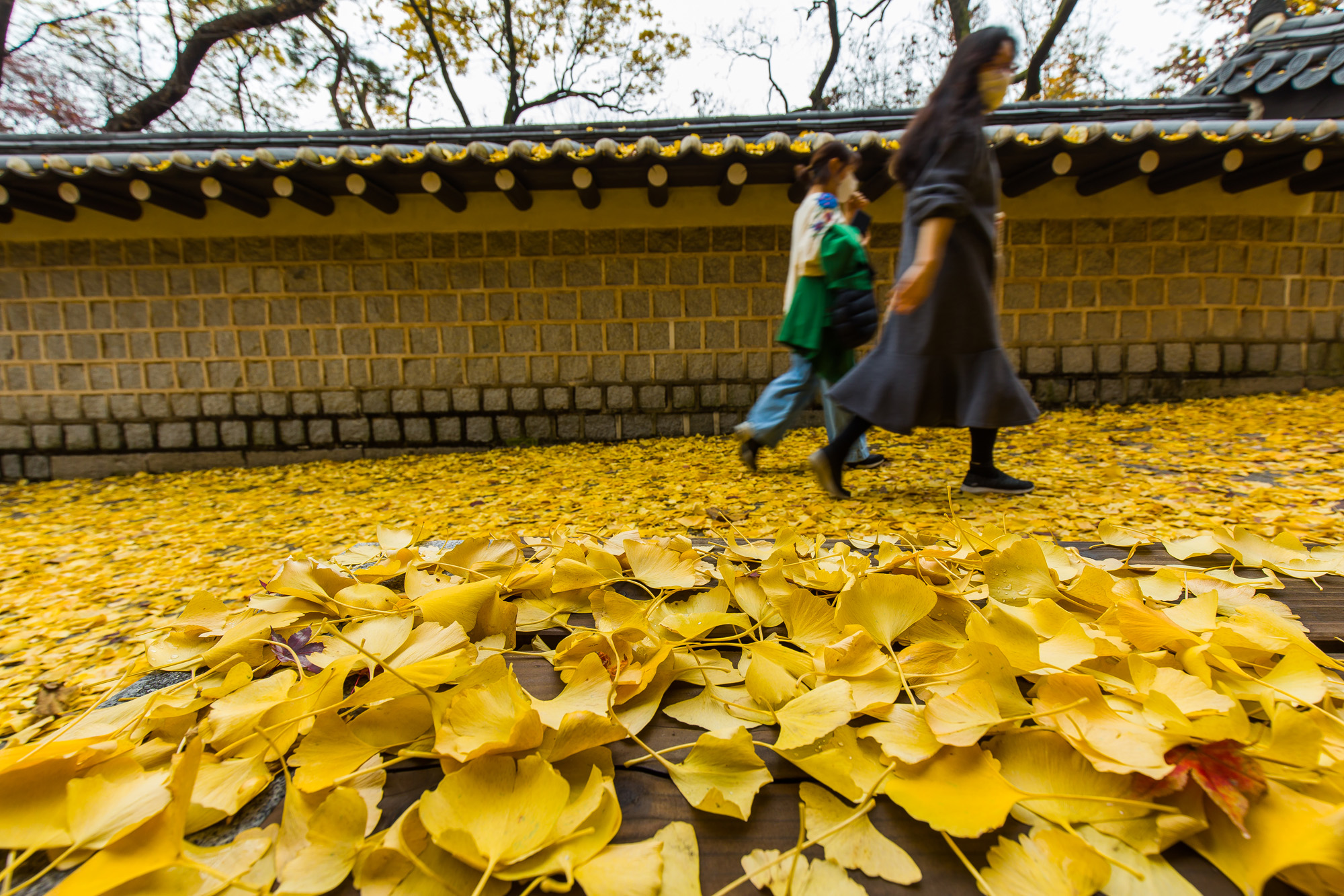 사회;세태;계절;계절스케치;가을;가을스케치;코로나19;신종코로나바이러스감염증;코로나거리두기;사회적거리두기