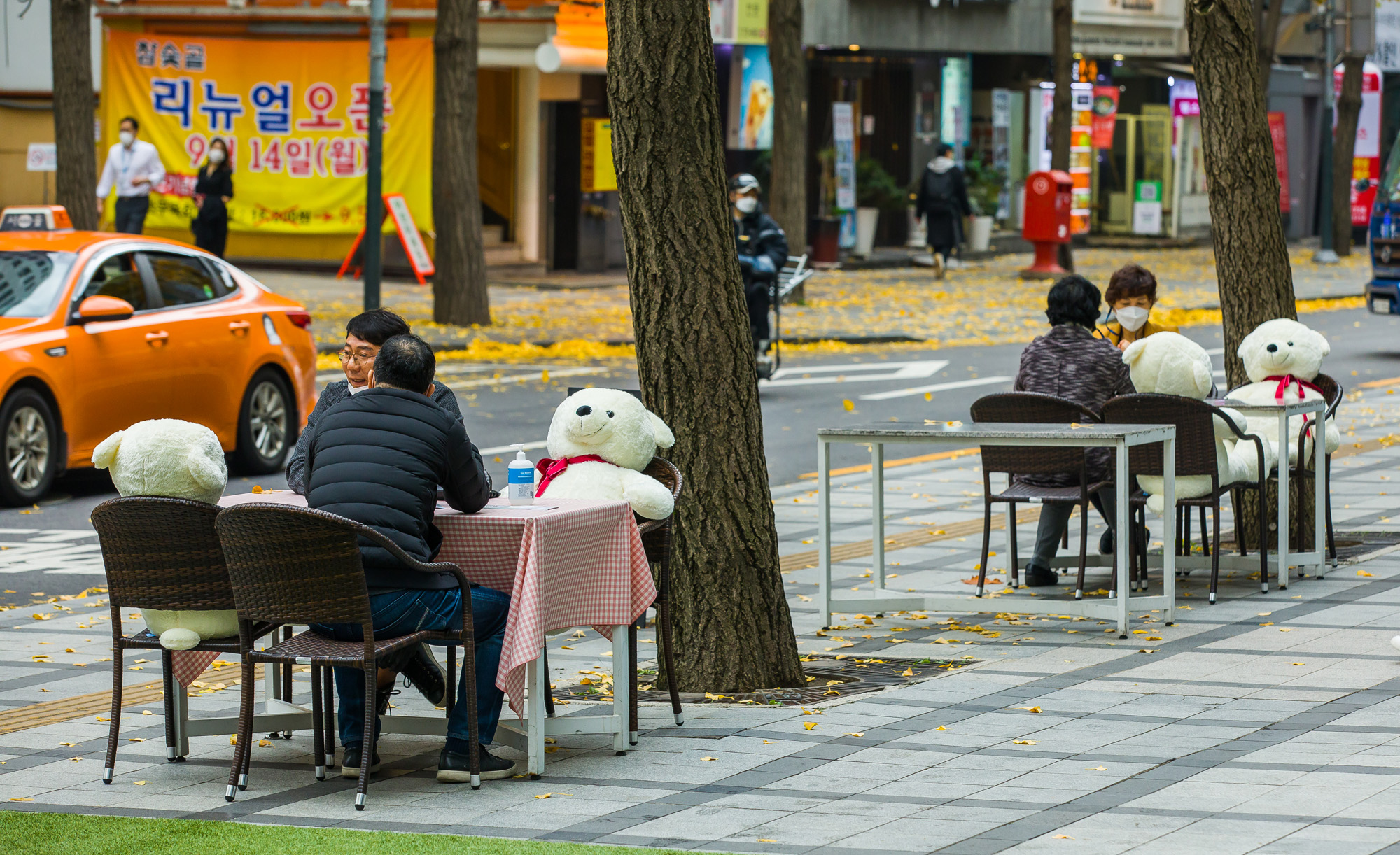 사회;세태;계절;계절스케치;가을;가을스케치;코로나19;신종코로나바이러스감염증;코로나거리두기;사회적거리두기