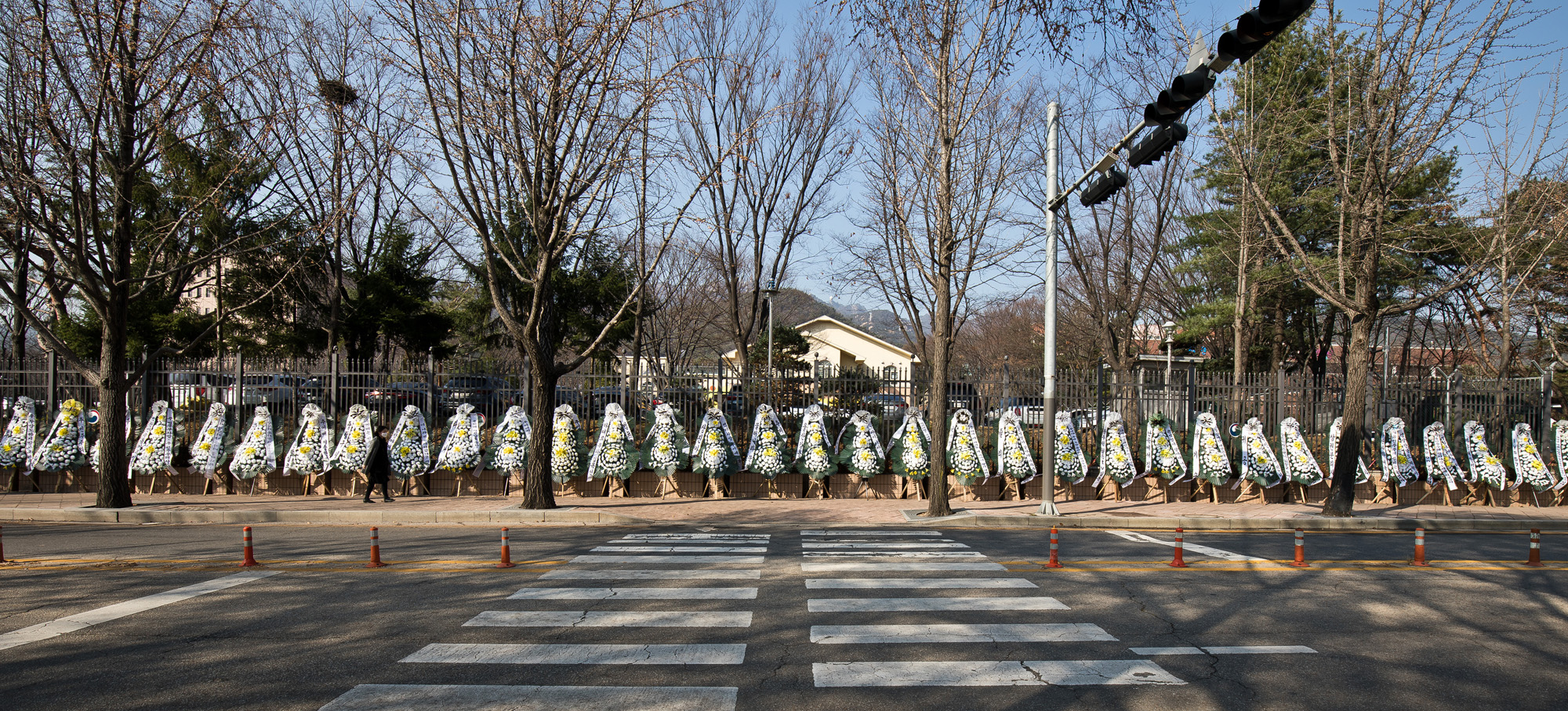 사회;정부;문재인정부;법무부;검찰;대검찰청;법무부장관;추미애;검찰총장;윤석열;검찰총장직무집행정지;법무부꽃바구니;법무부근조화환