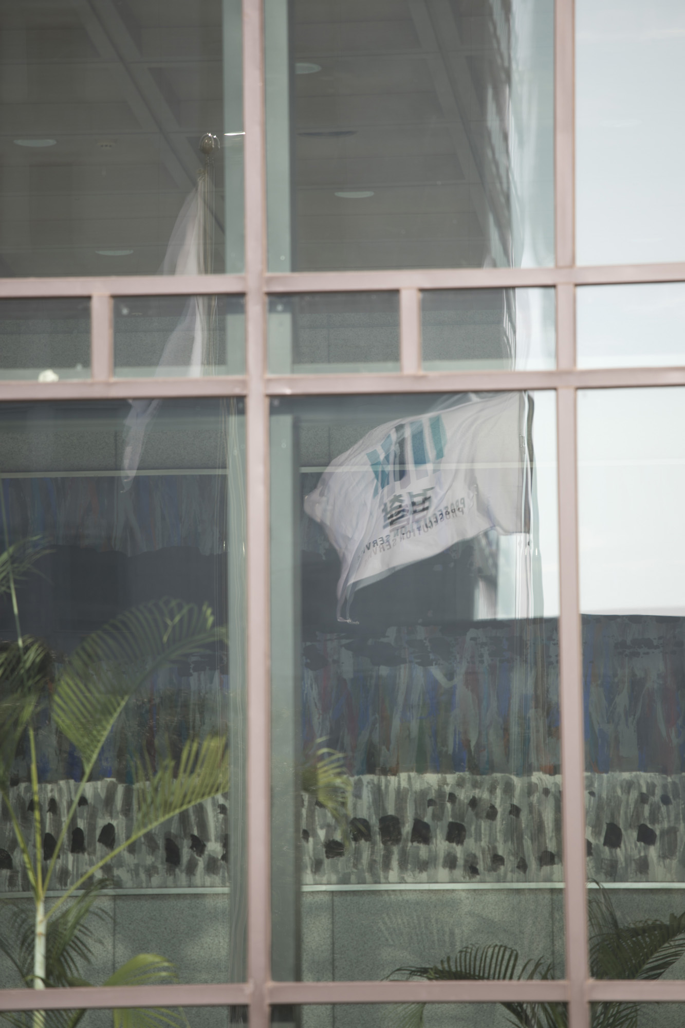 정부;대검찰청;대검;윤석열;추미애;깃발