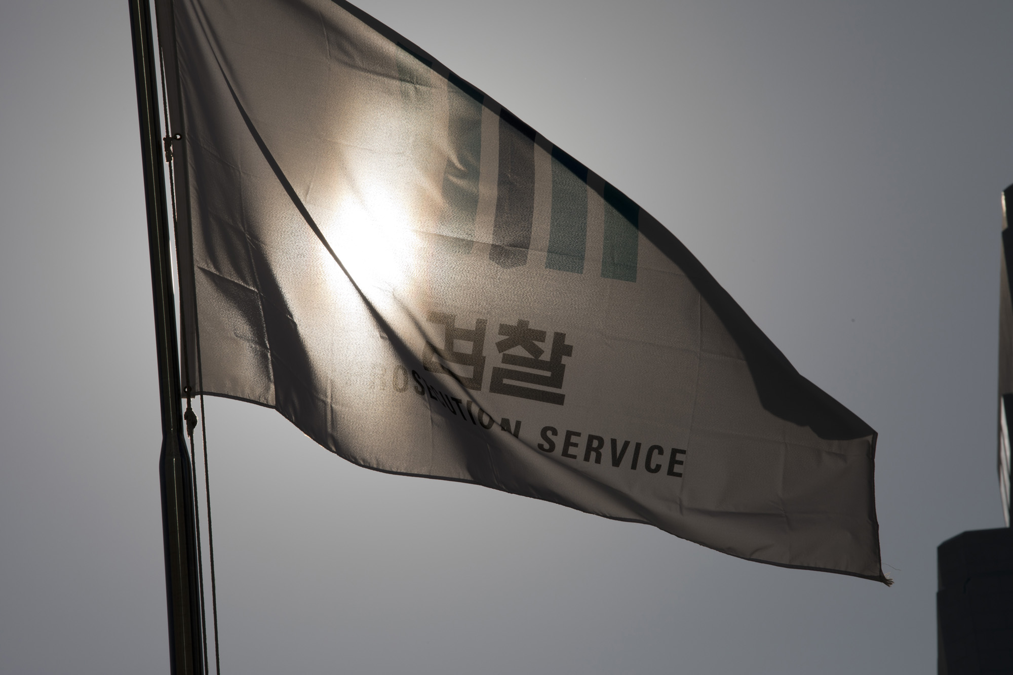 정부;대검찰청;대검;윤석열;추미애;깃발