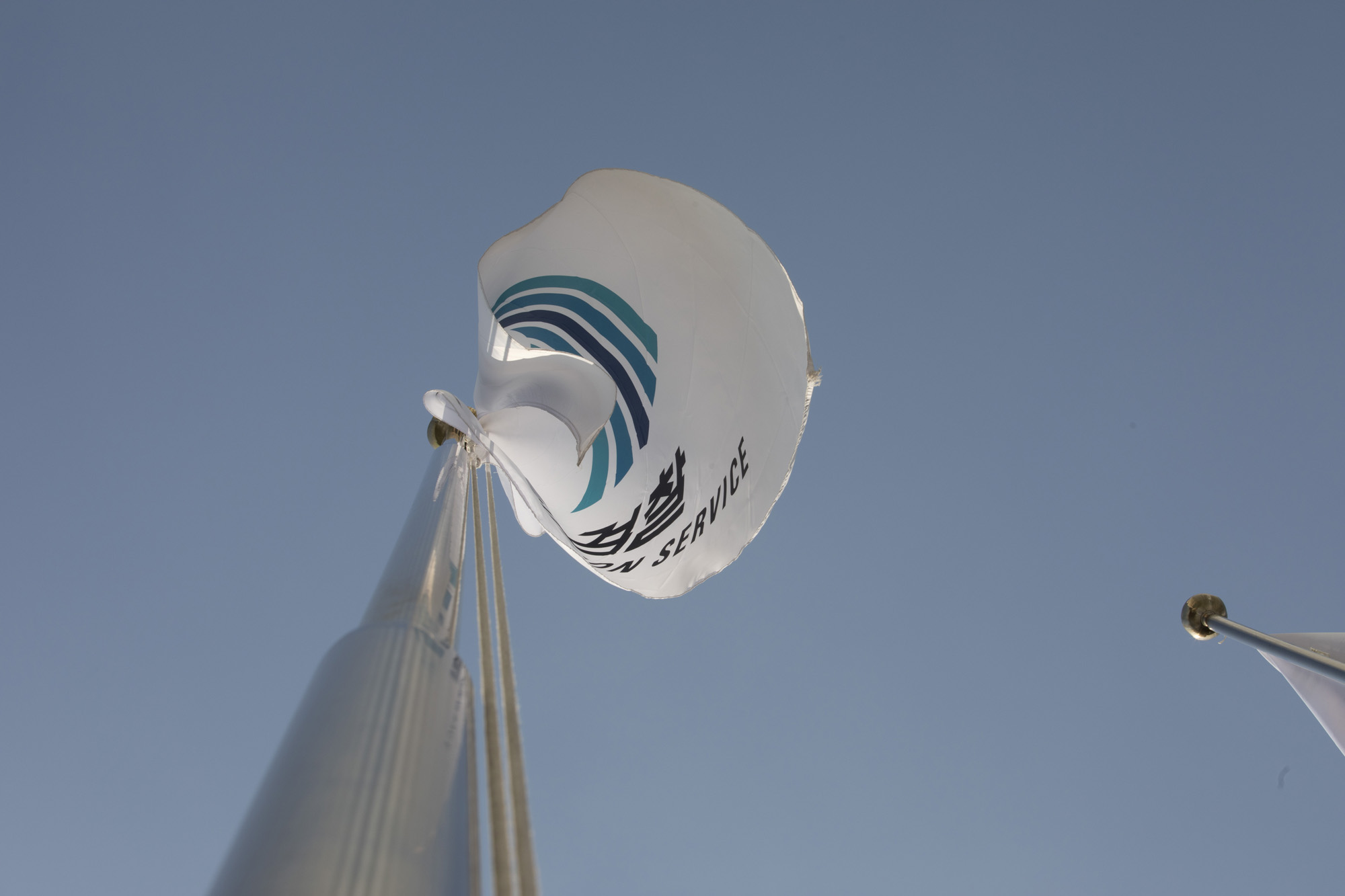 정부;대검찰청;대검;윤석열;추미애;깃발