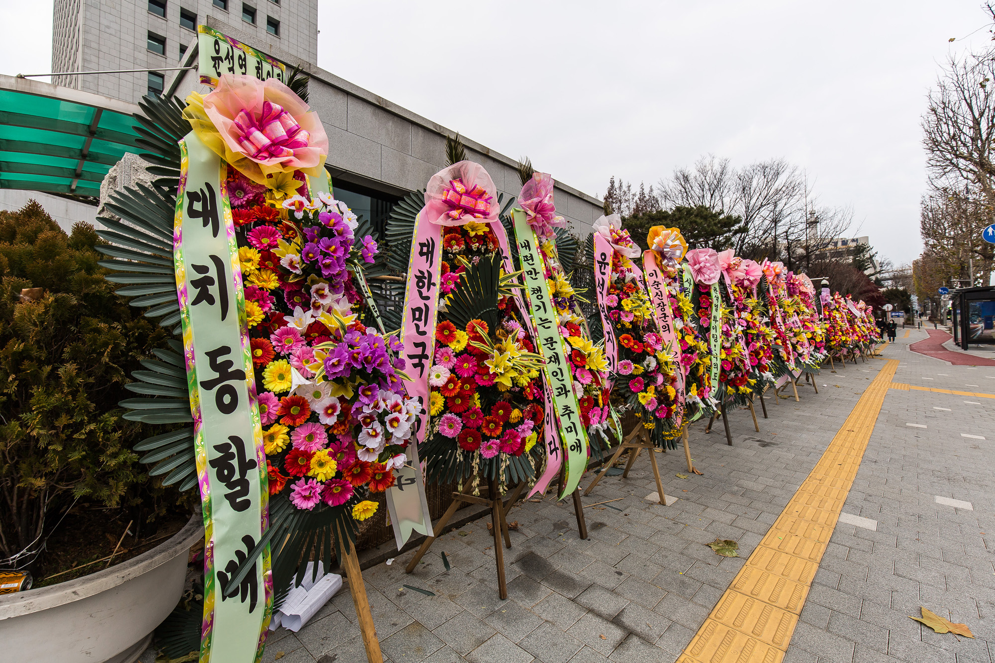 사회;정치;검찰;대검찰청;윤석열;윤석열검찰총장;검사징계위원회
