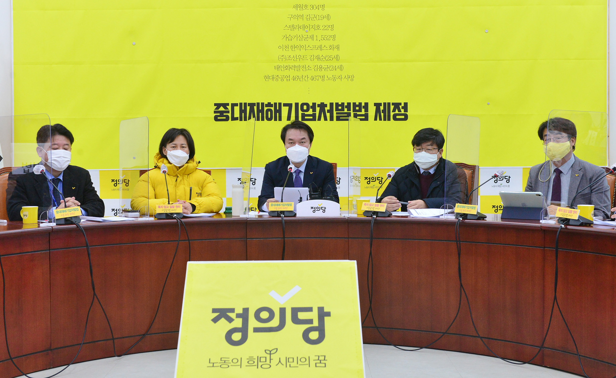 정치;국회;정의당상무위원회;김종철