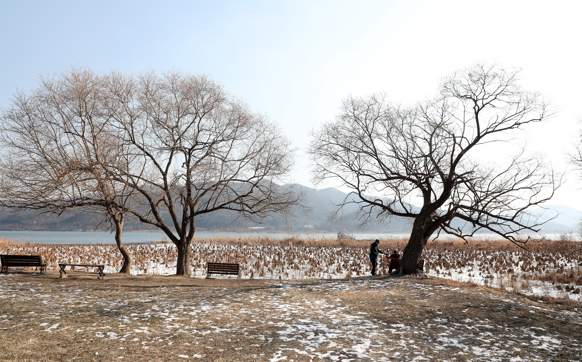두물머리 양평 양수리
