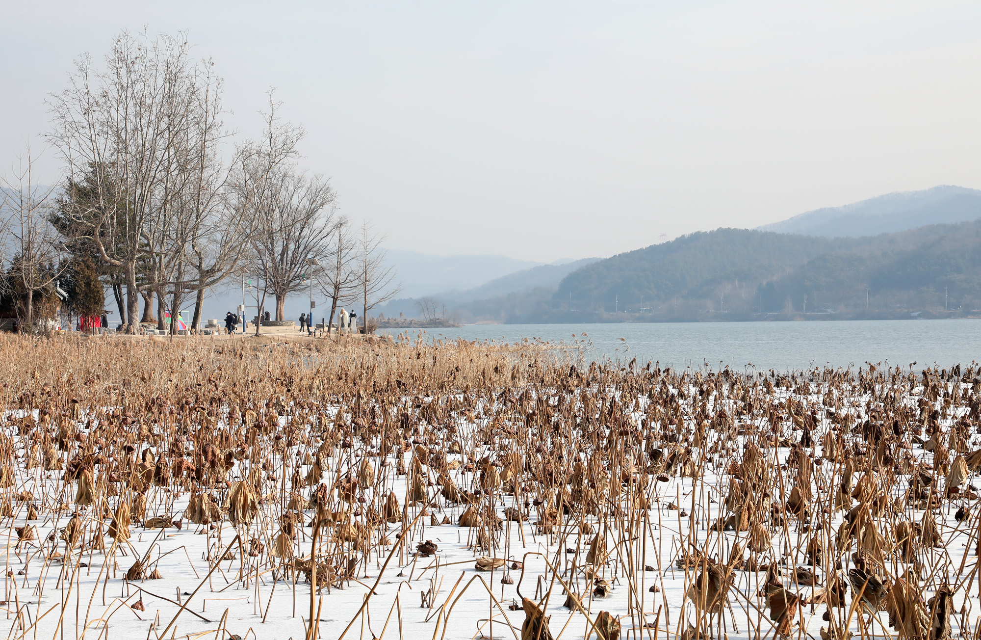 두물머리 양평 양수리