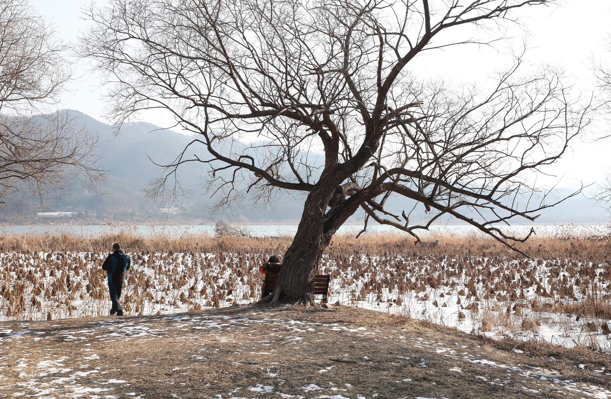 두물머리 양평 양수리