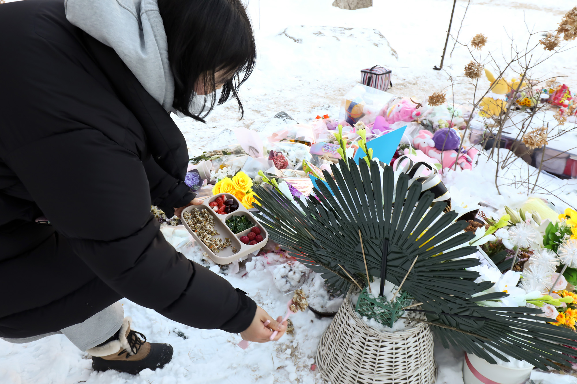 정인 하이패밀리 안데르센 공원묘역 양부모 학