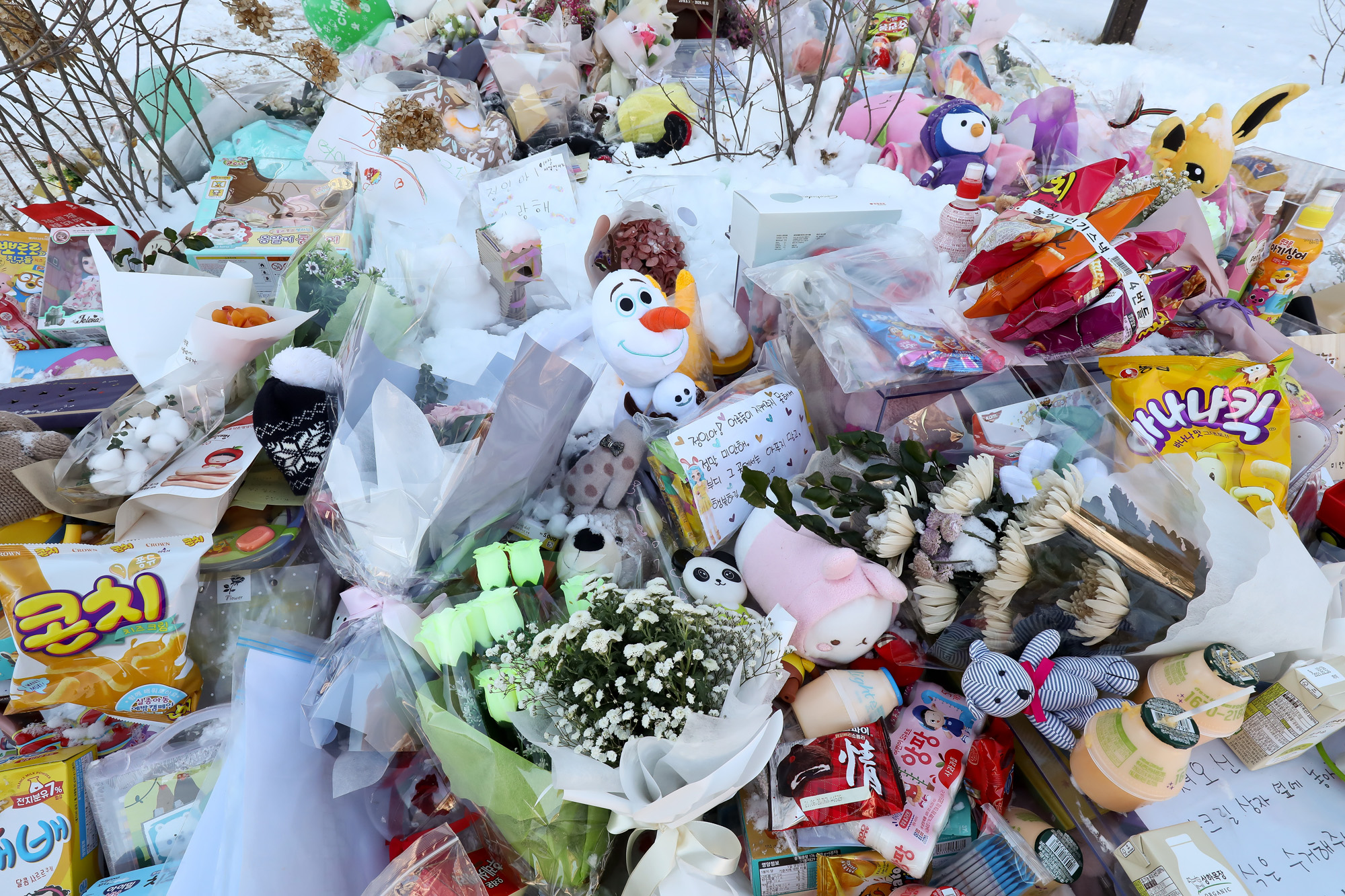 정인 하이패밀리 안데르센 공원묘역 양부모 학