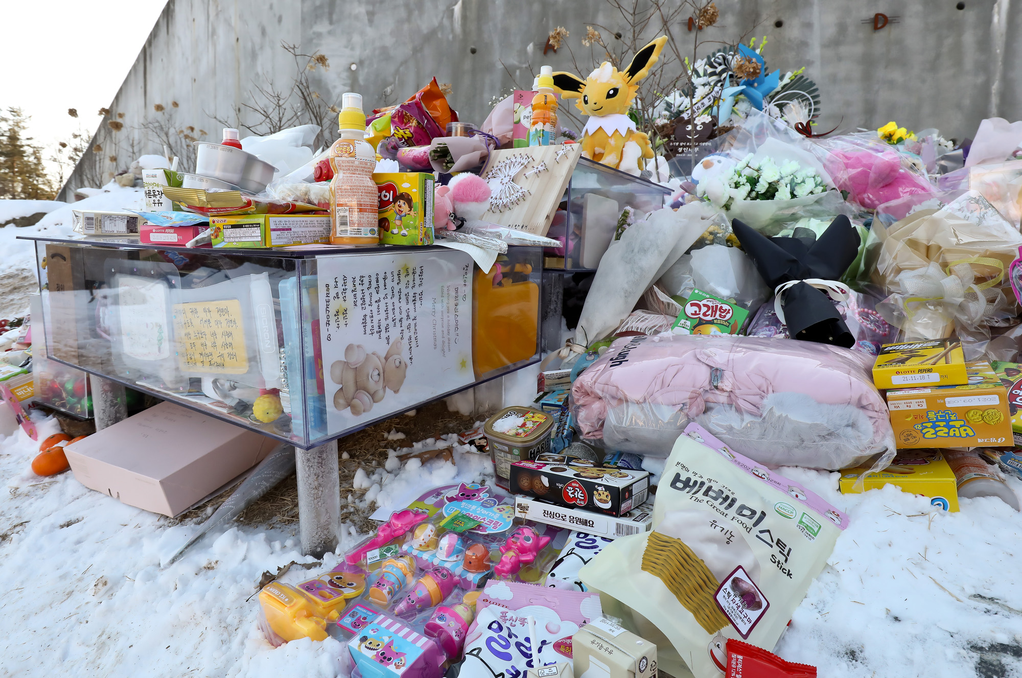 정인 하이패밀리 안데르센 공원묘역 양부모 학
