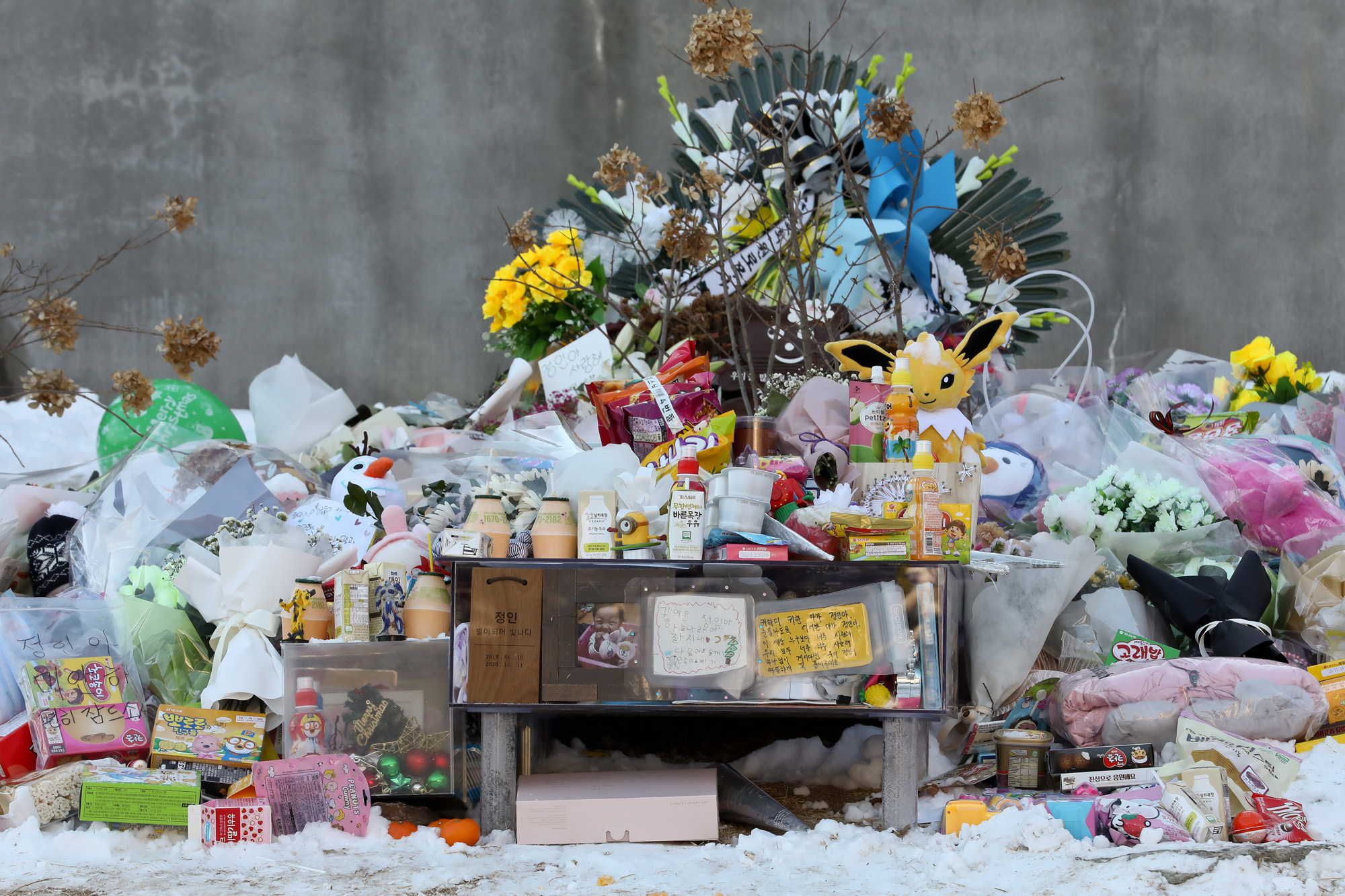 정인 하이패밀리 안데르센 공원묘역 양부모 학