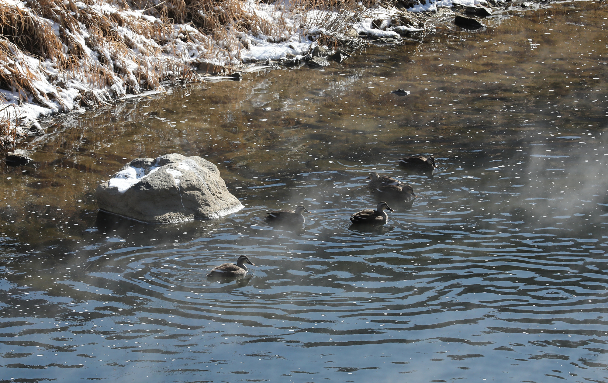 한파 겨울 최강한파 중랑천