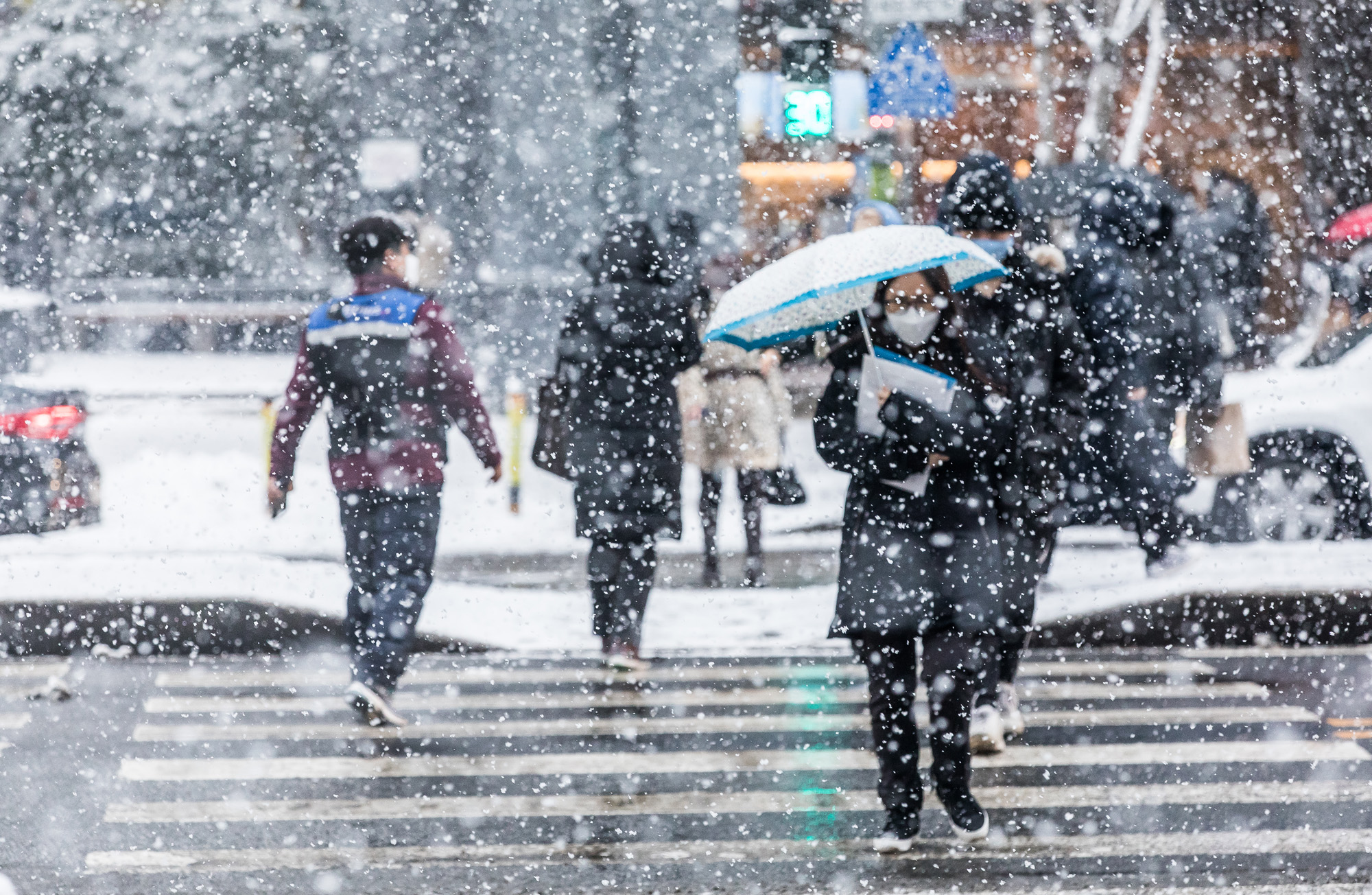 사회;계절;날씨;날씨스케치;폭설;겨울스케치;함박눈;강남역폭설