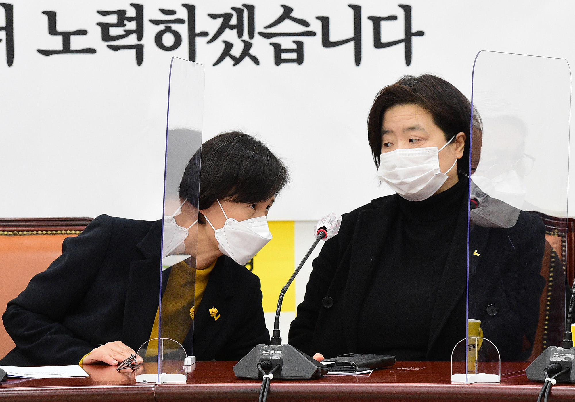 정치;정당;정의당;비상대책위원회의