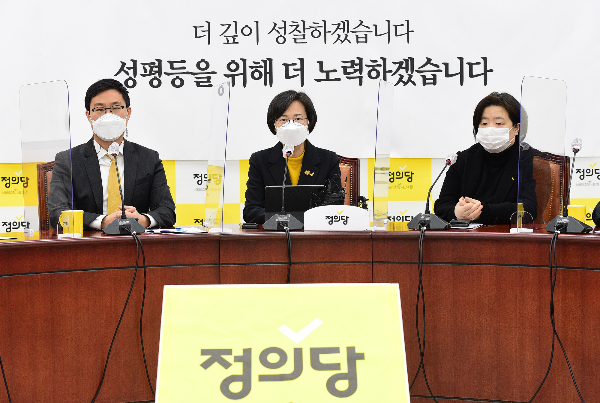 정치;정당;정의당;비상대책위원회의