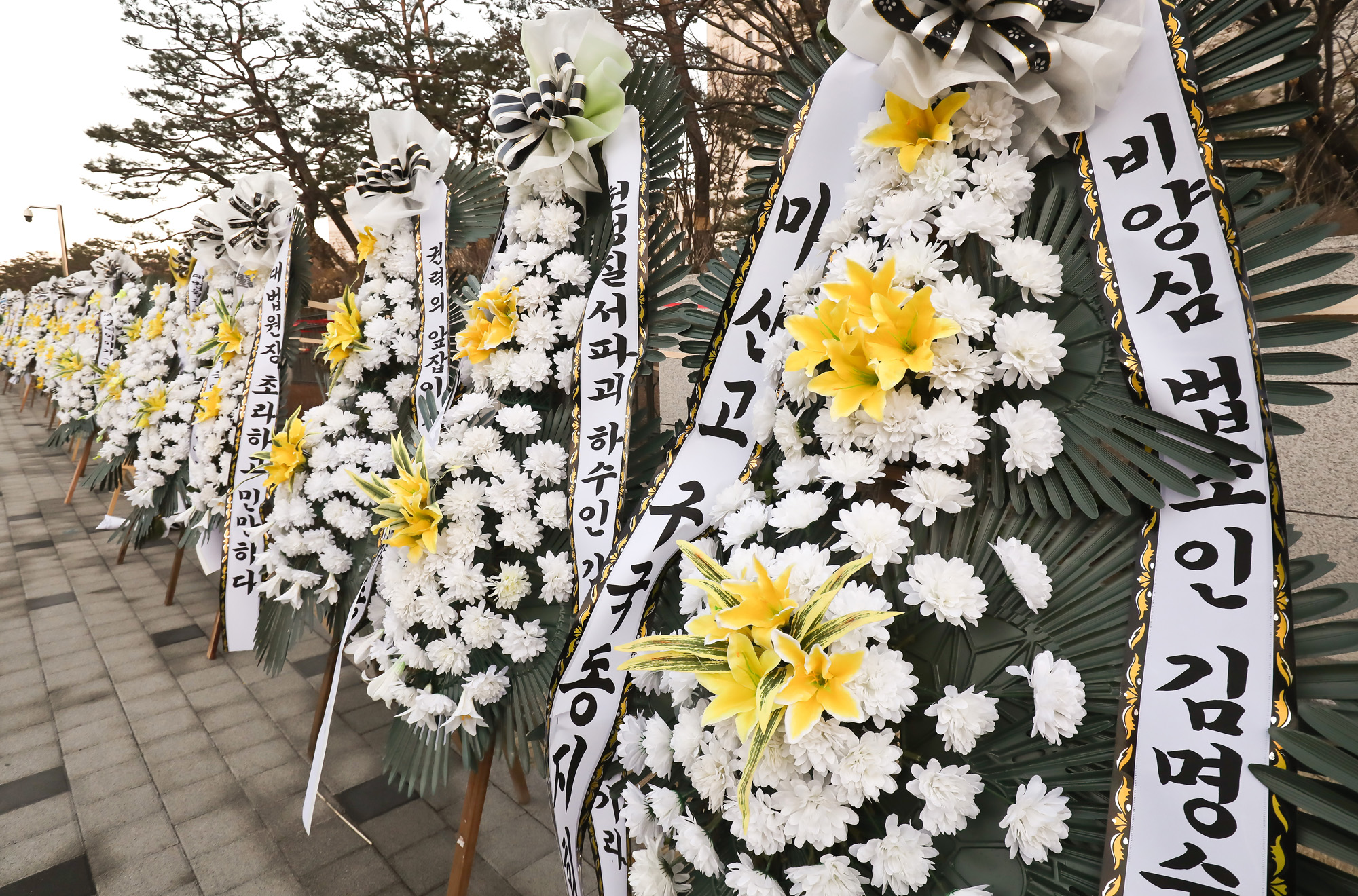 비상시국연대;김명수 대법원;대법원장