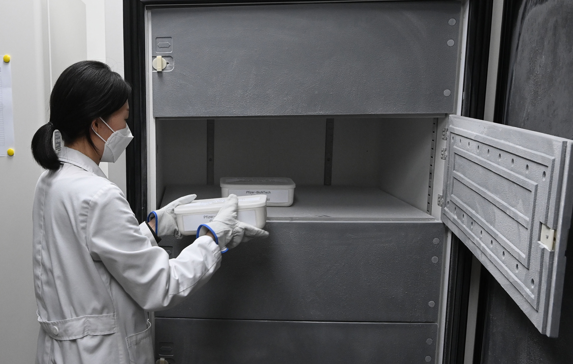 백신 코로나 훈련 접종