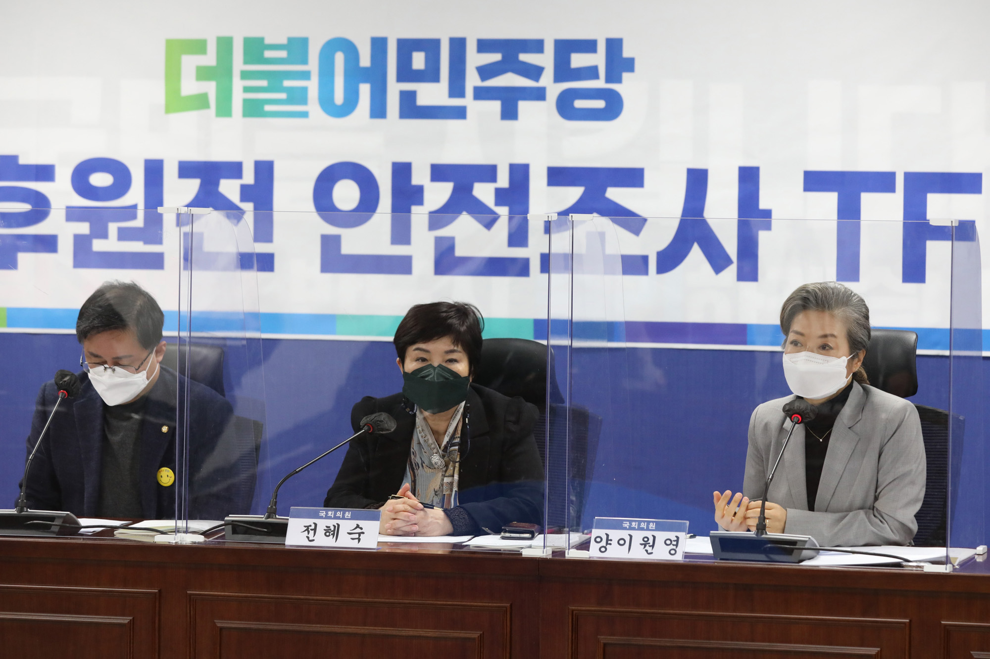 정치;국회;노후원전안전조사TF;양이원영