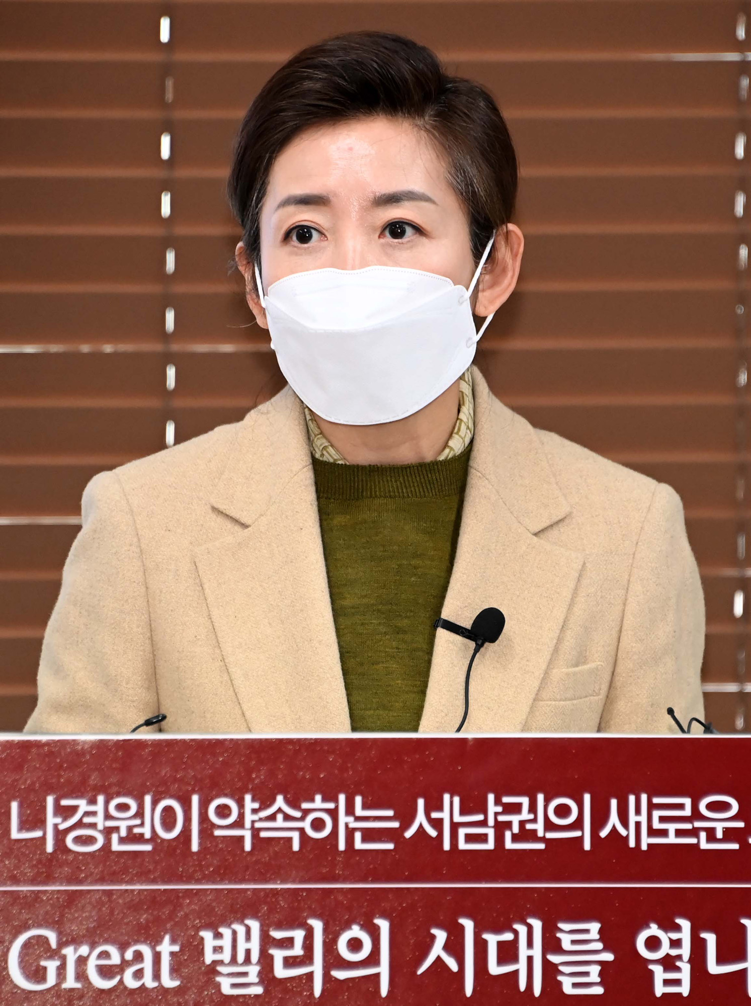 정치;국회;서울시장후보;나경원
