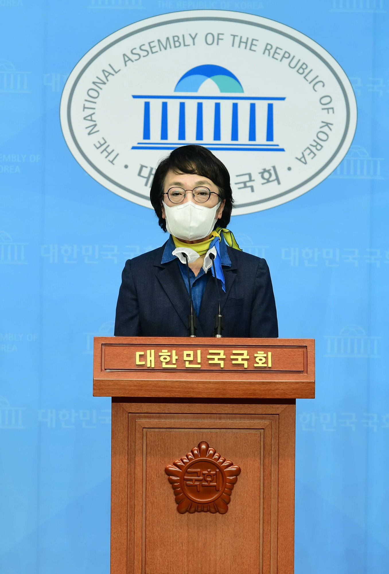 정치;국회;김진애;김의겸