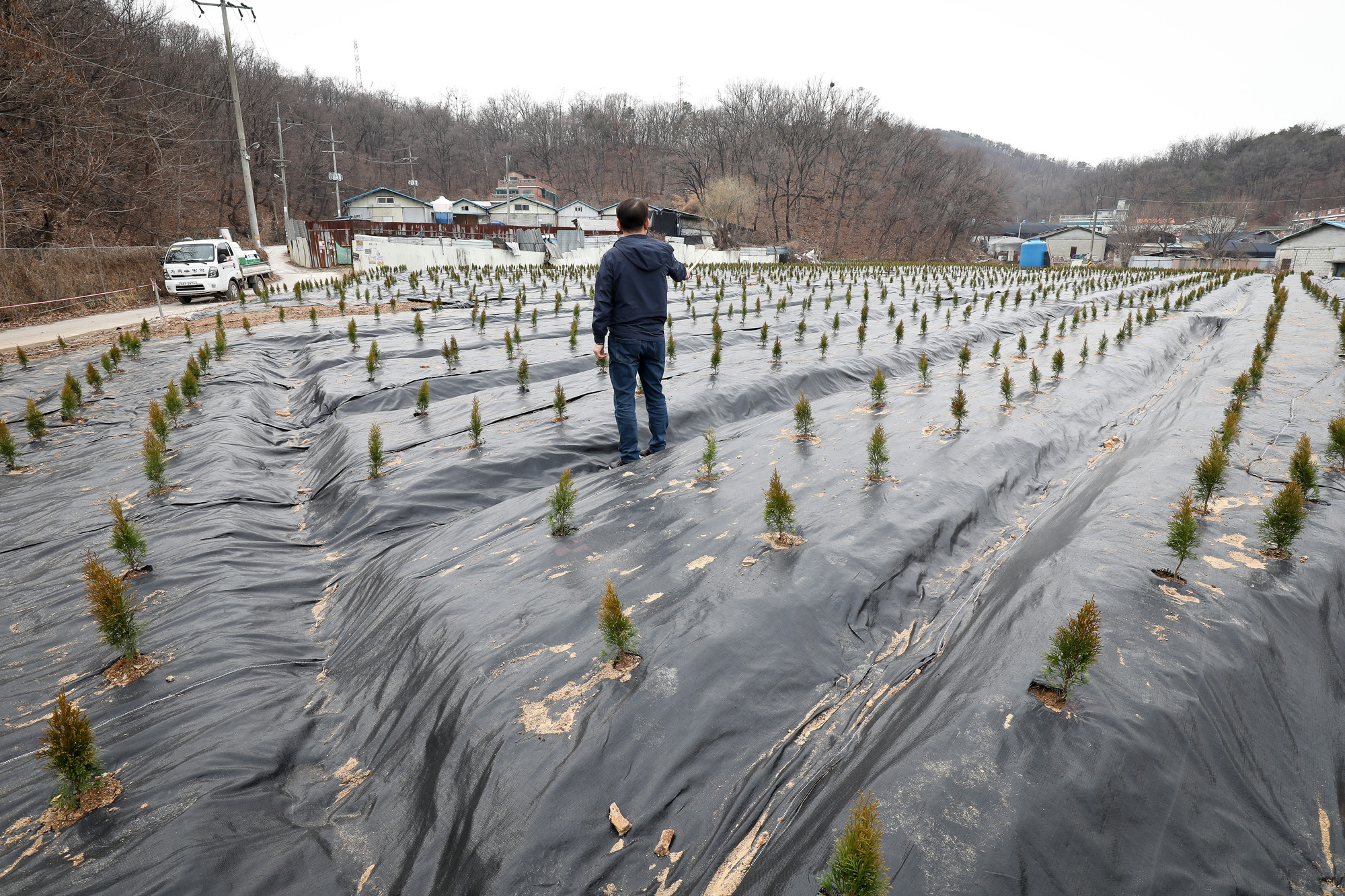 LH;땅투기;과림동 시흥