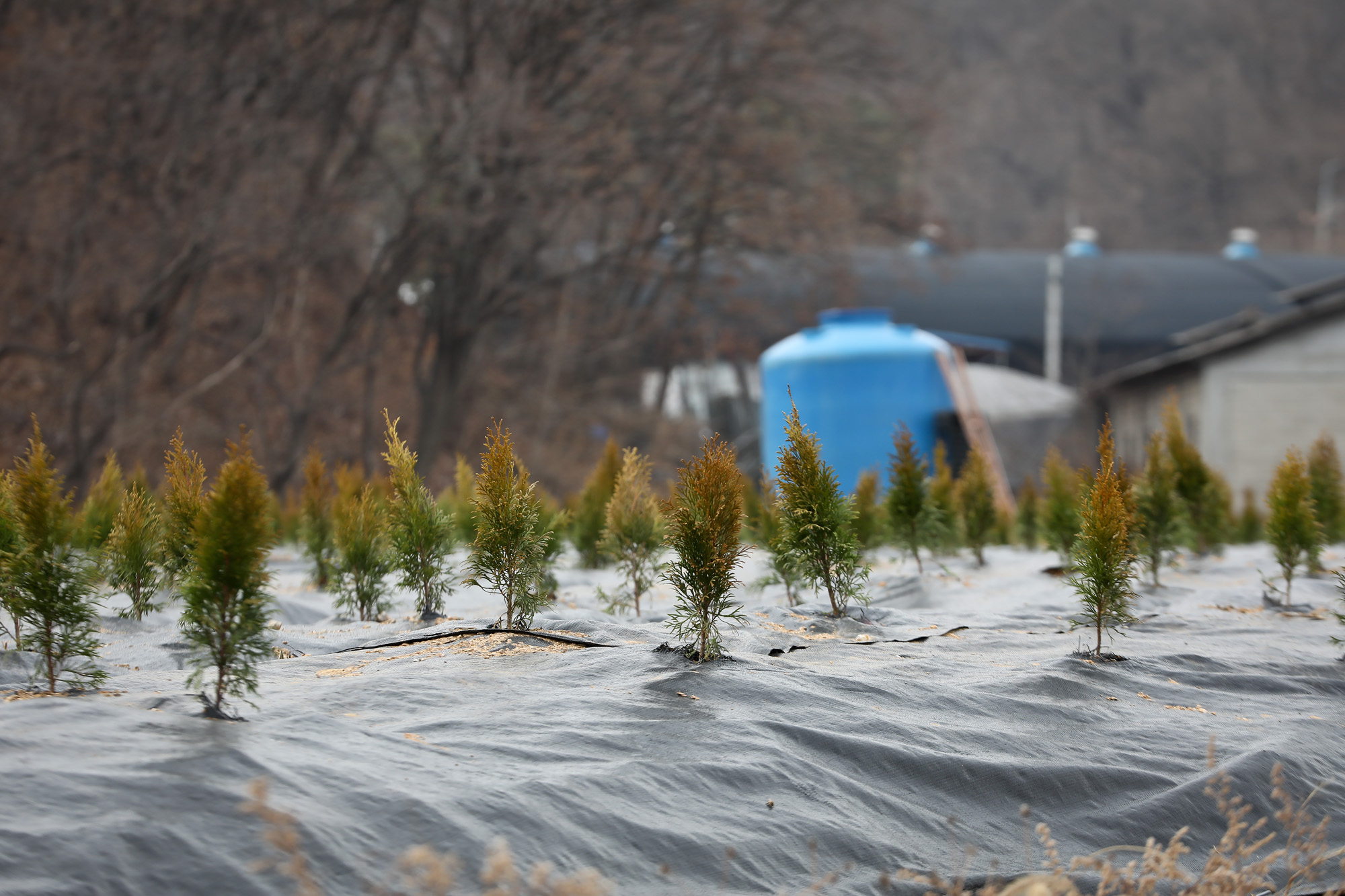 LH;땅투기;과림동 시흥