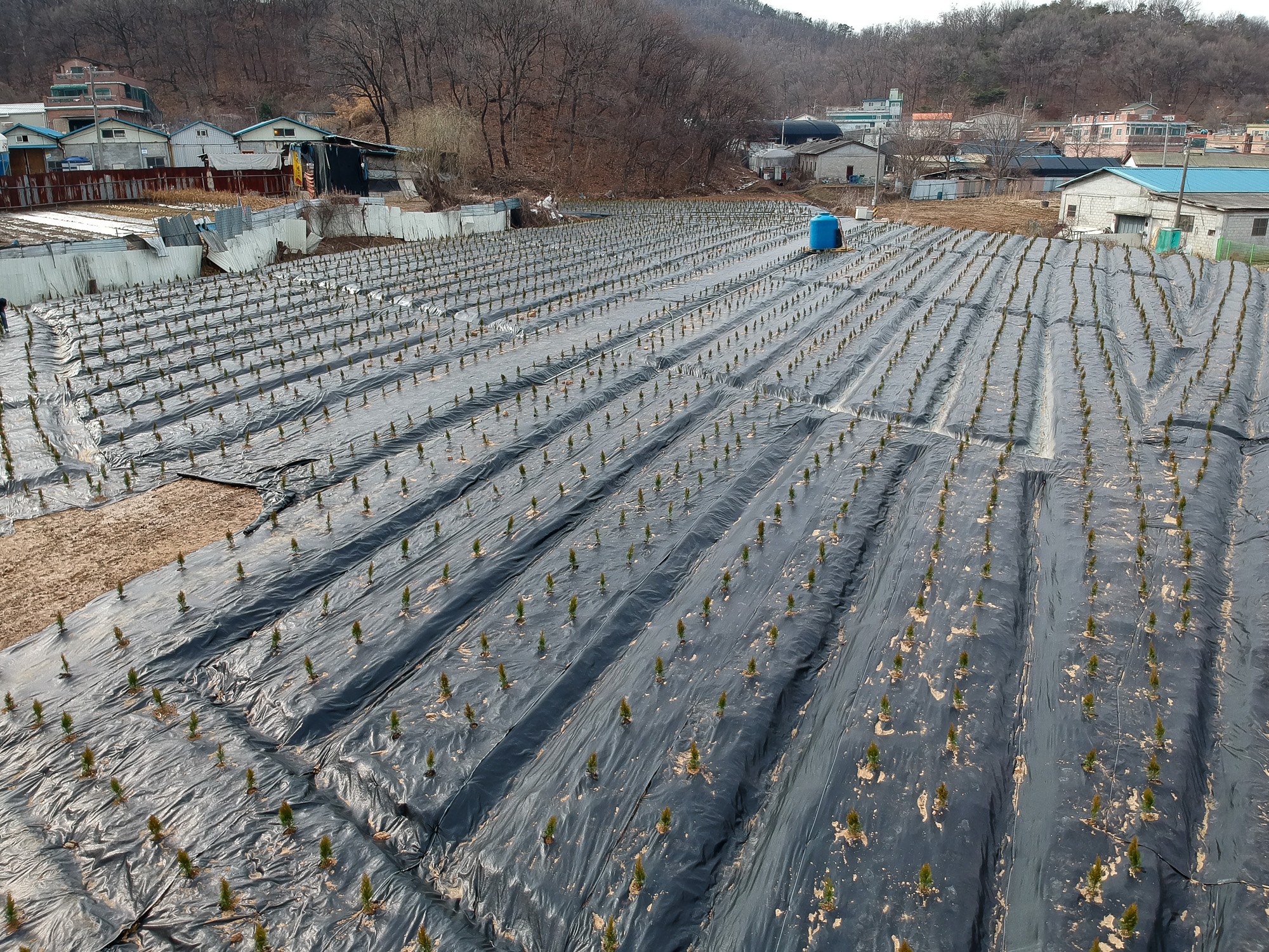 LH;땅투기;과림동 시흥