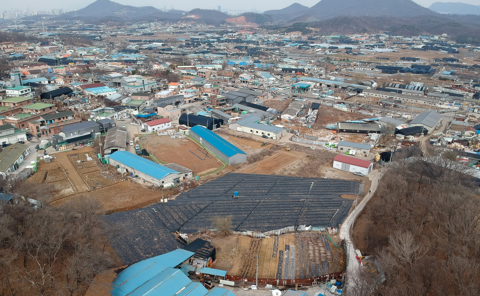 LH;땅투기;과림동 시흥