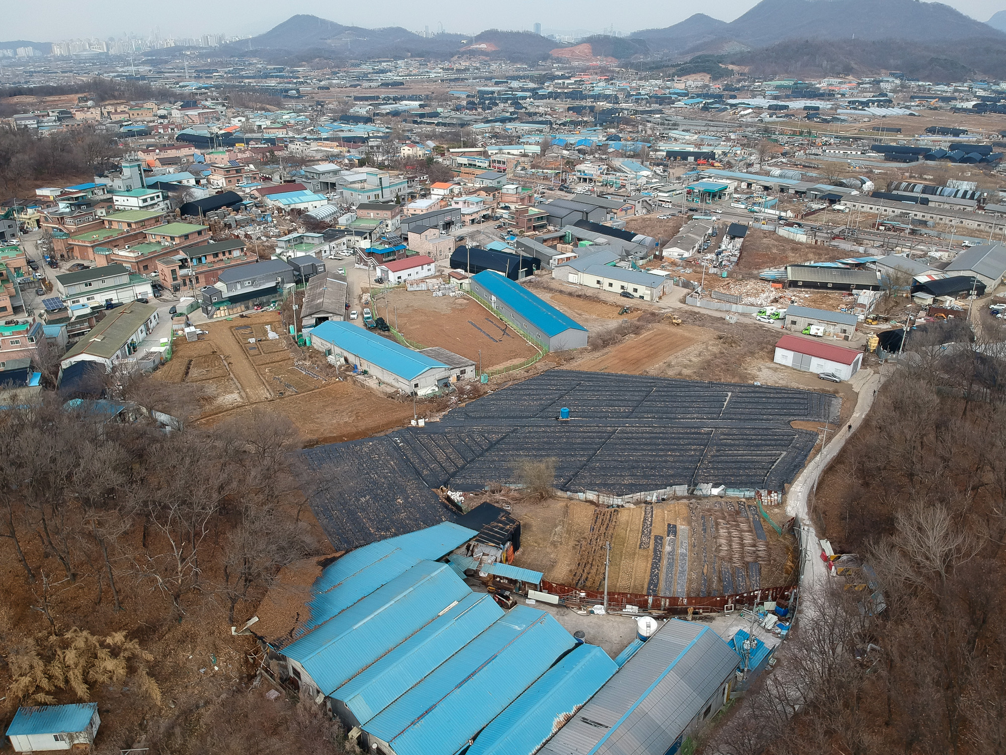 LH;땅투기;과림동 시흥