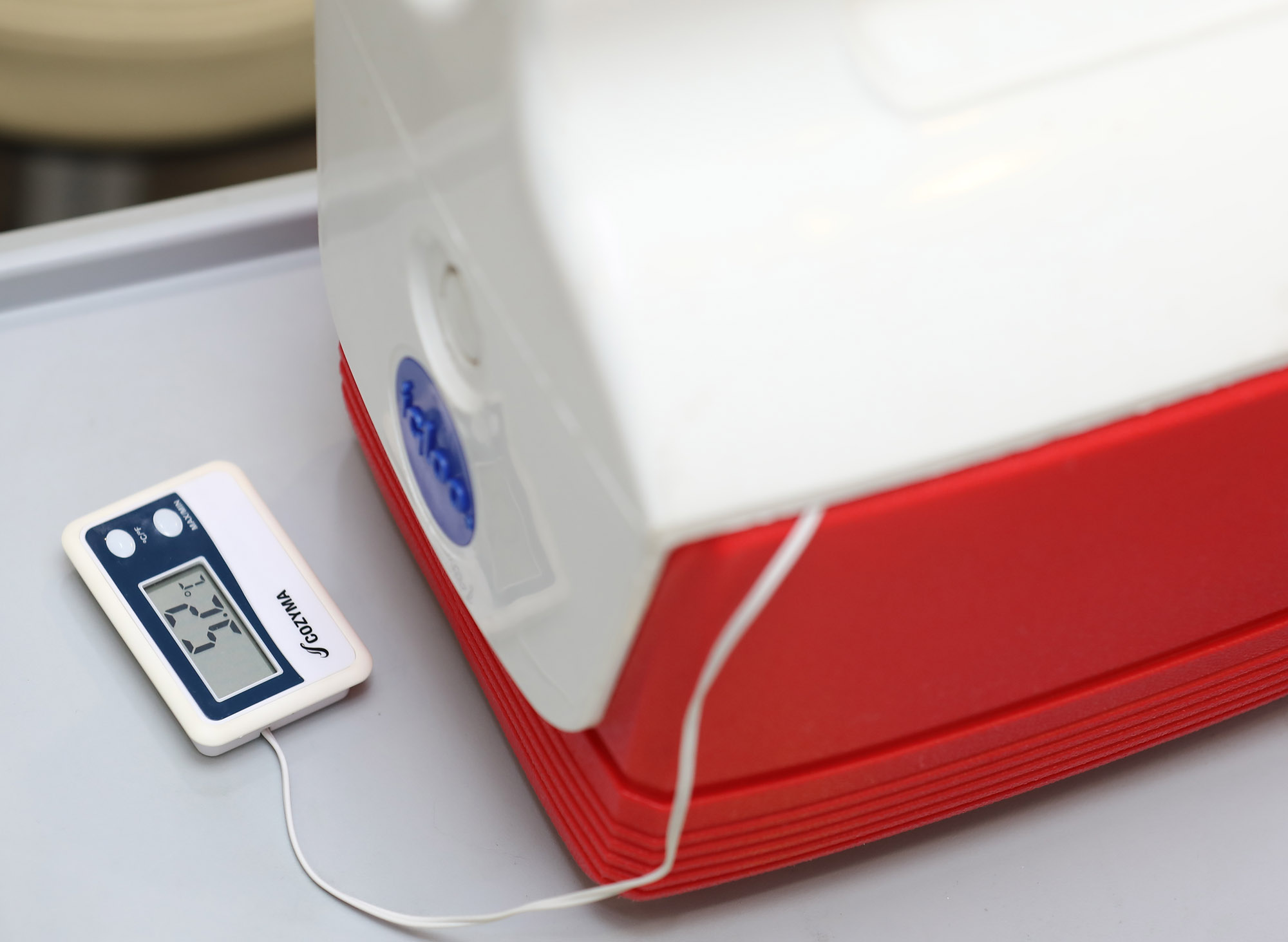 코로나19;코로나19백신;아스트라제네카;백신접종;예방접종