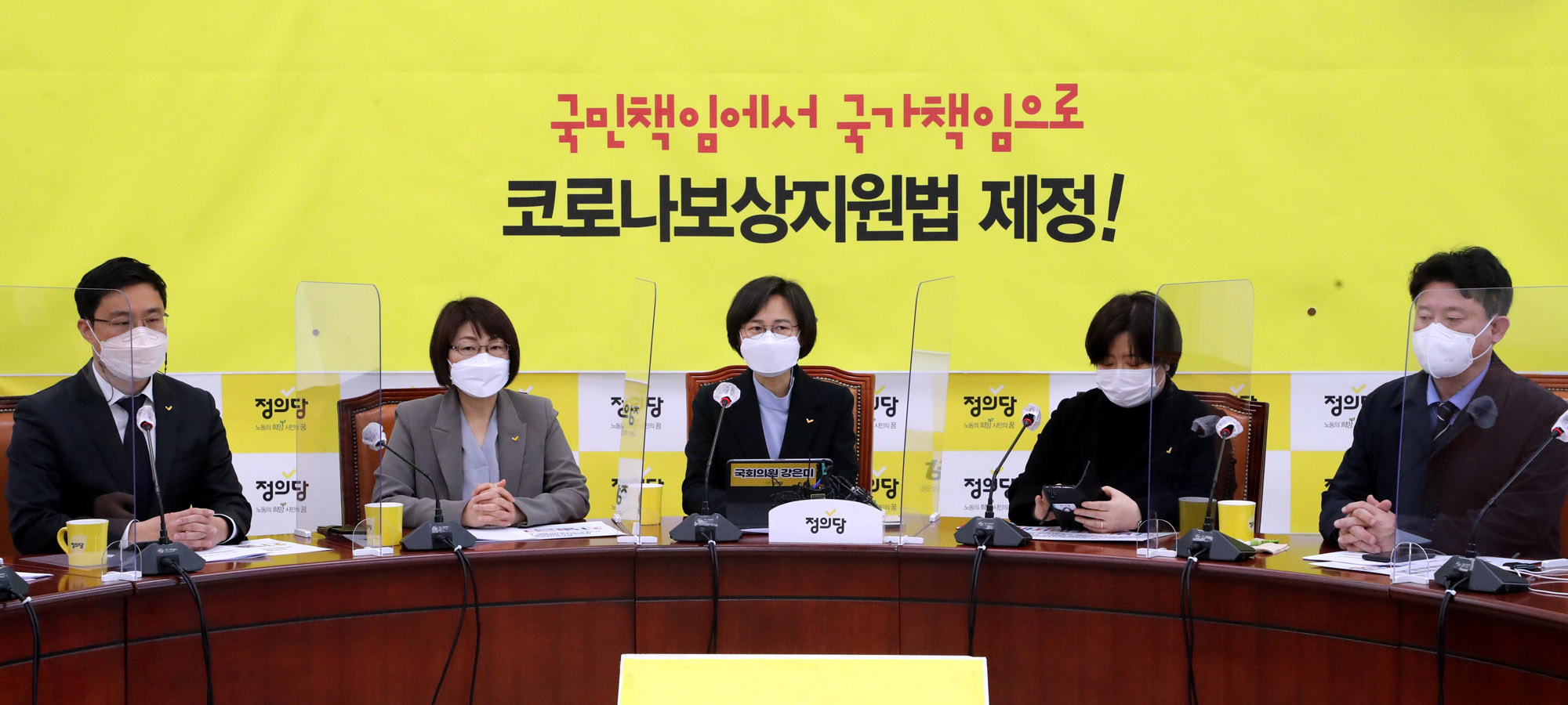 정의당;정의당비대위