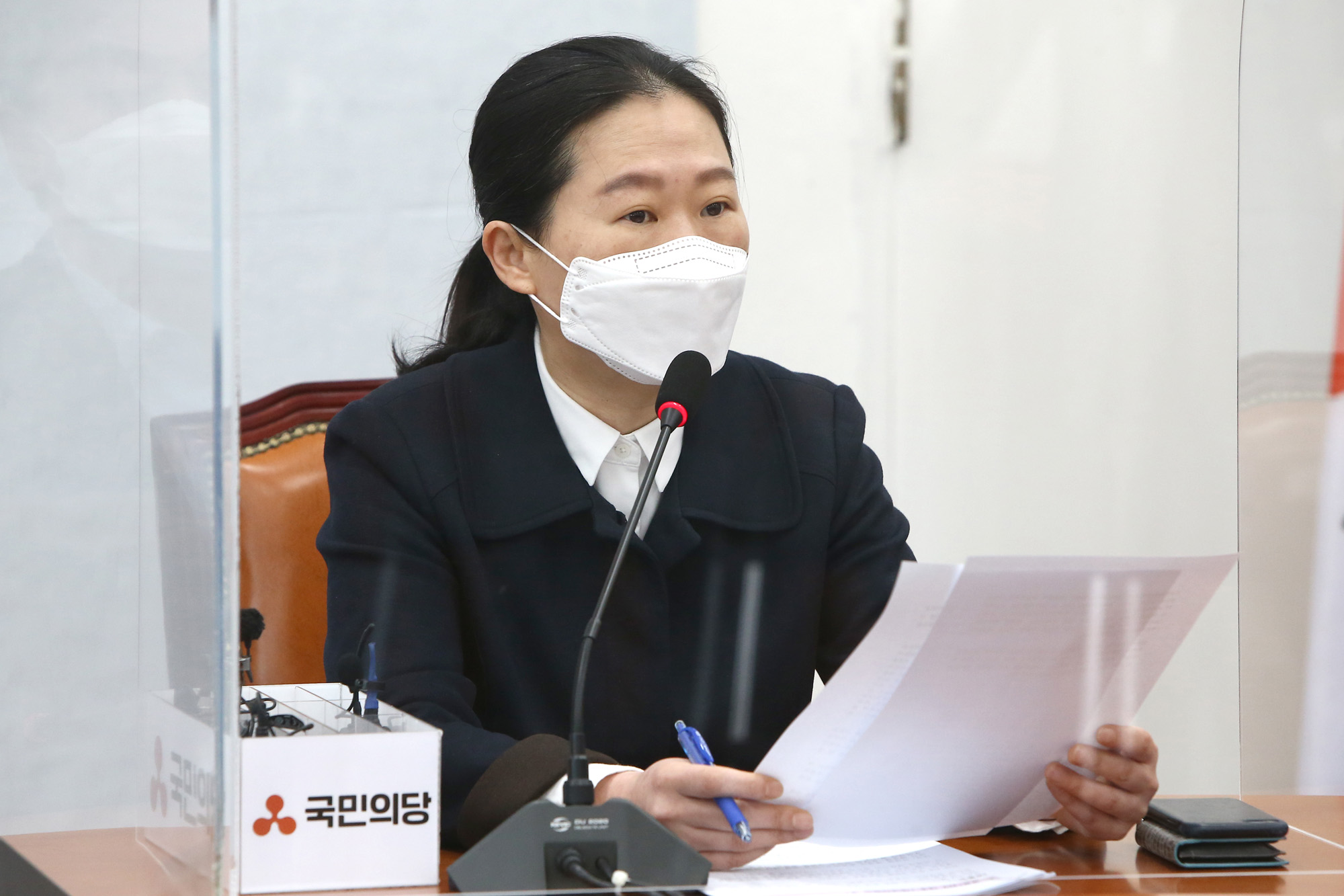 정치;정당;국민의당;최고위원회의