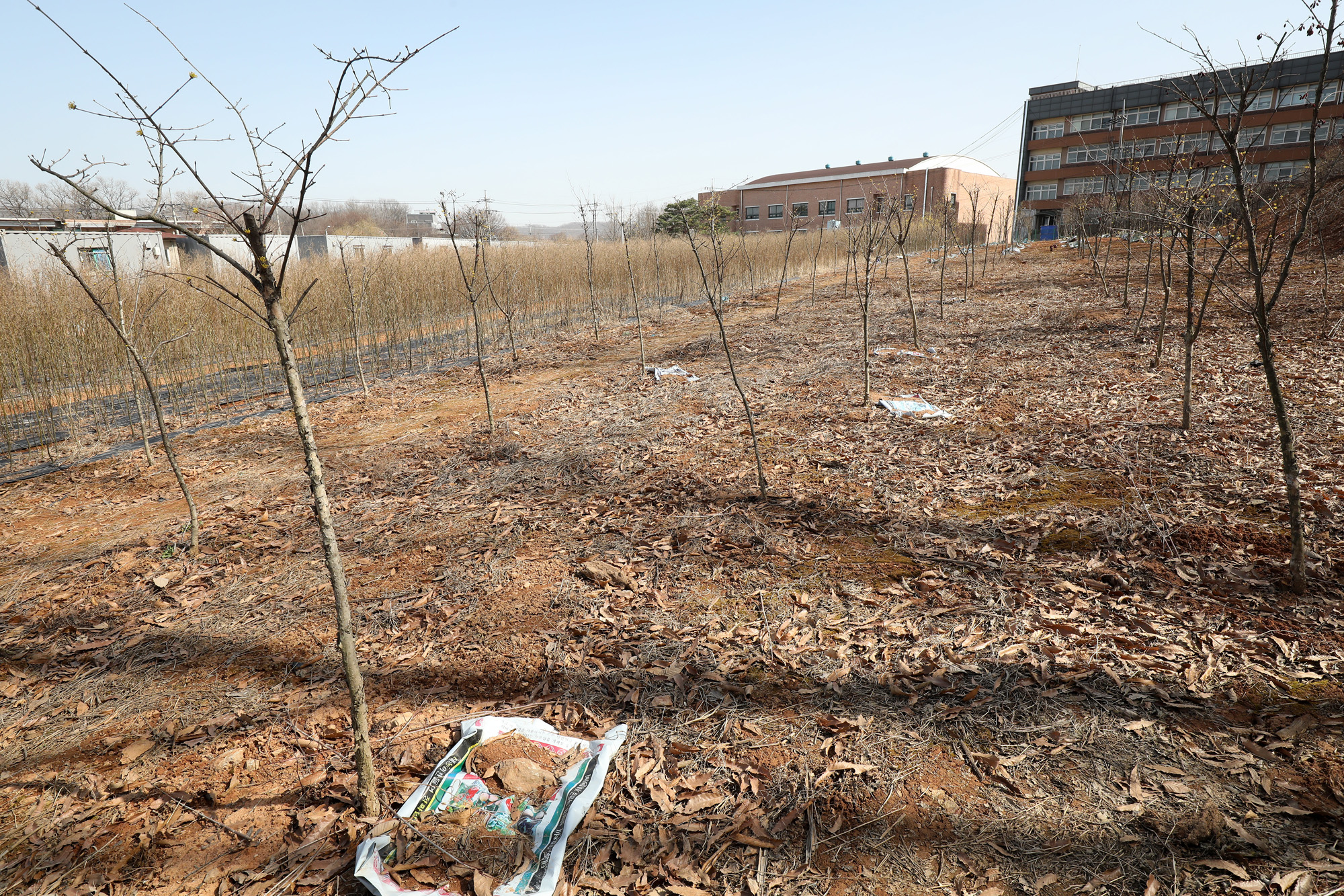 공무원 부동산 무지내동 LH 시흥