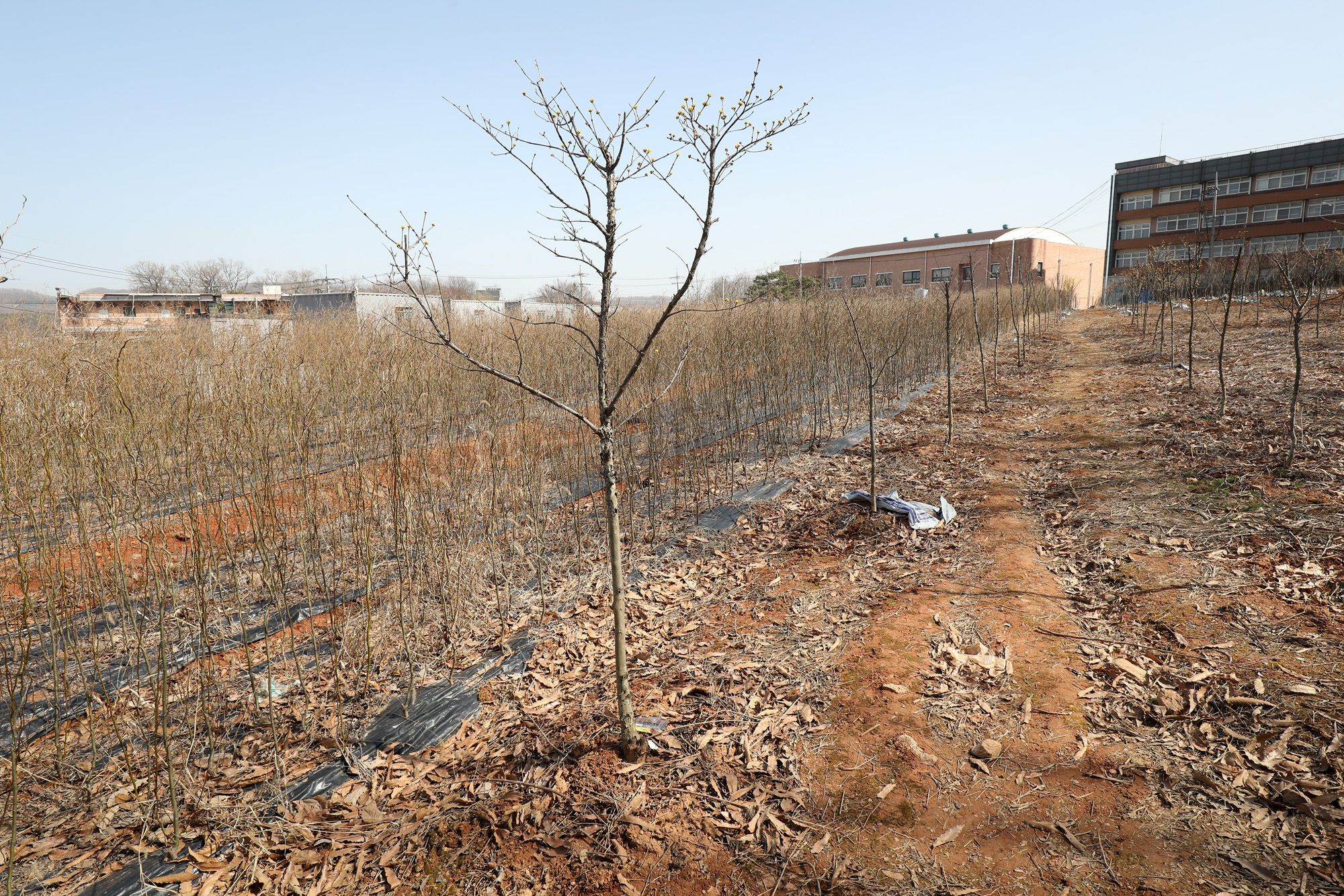 공무원 부동산 무지내동 LH 시흥