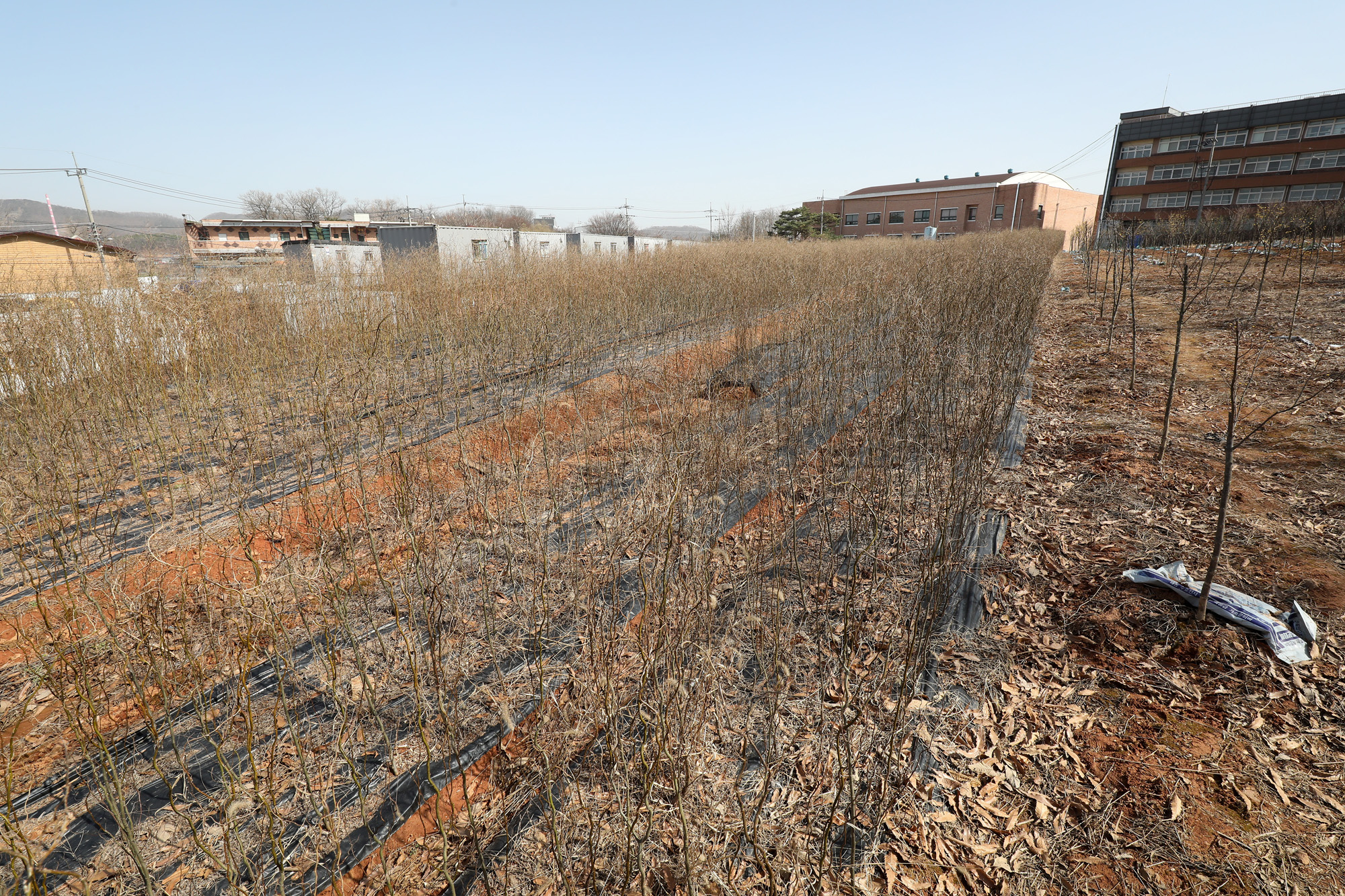 공무원 부동산 무지내동 LH 시흥