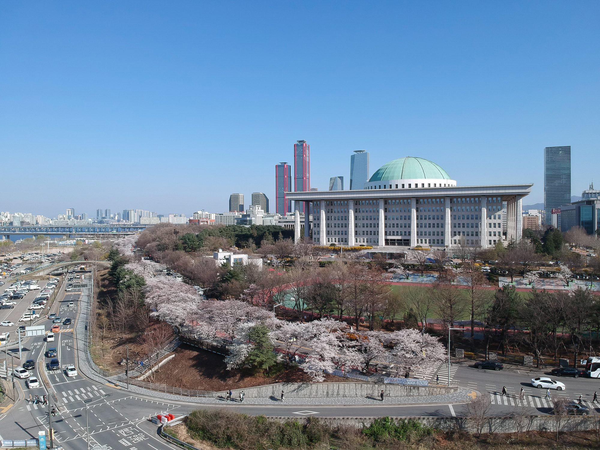 윤중로 벗꽃 국회 여의도 벗꽃길