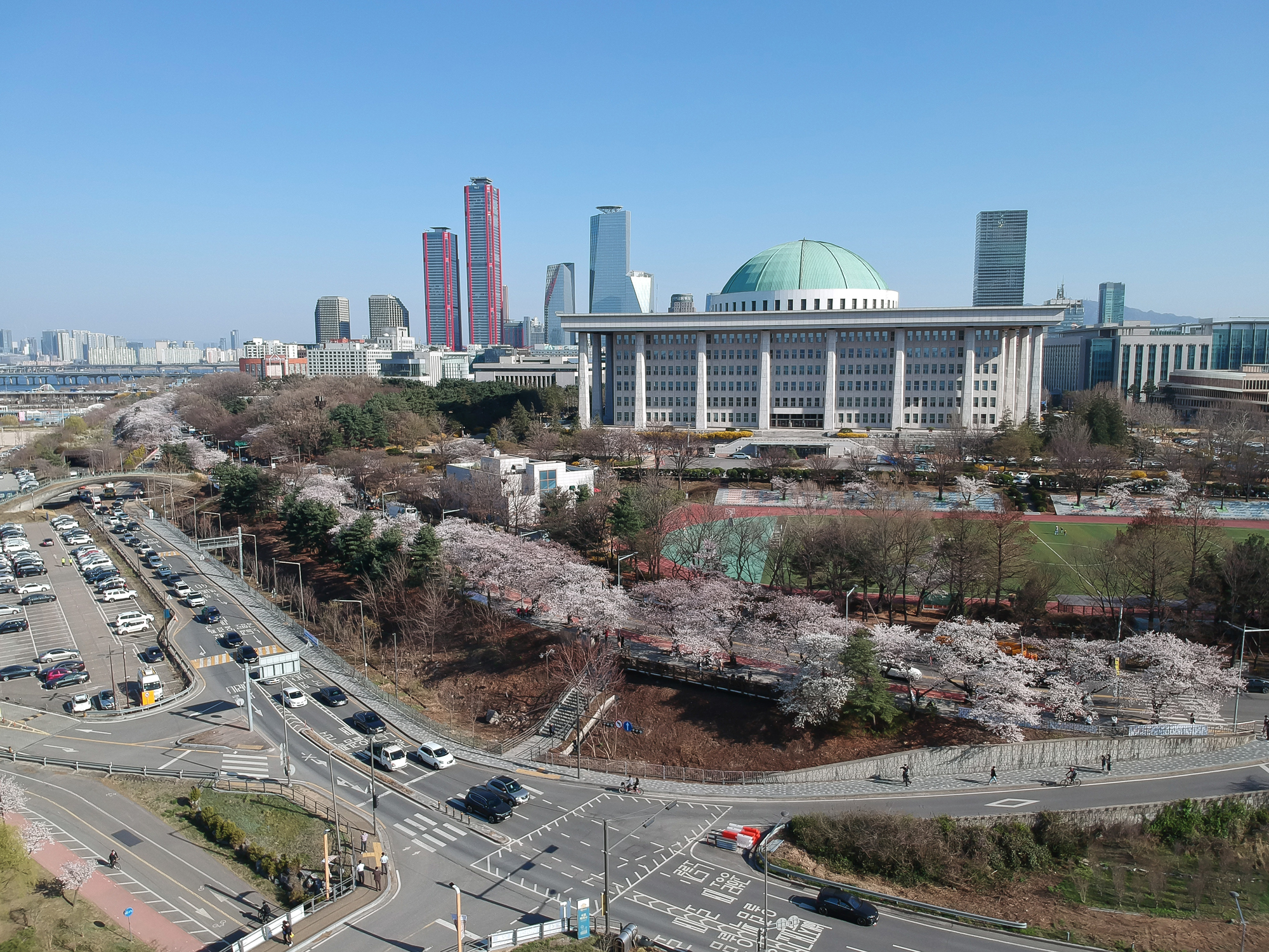 윤중로 벗꽃 국회 여의도 벗꽃길