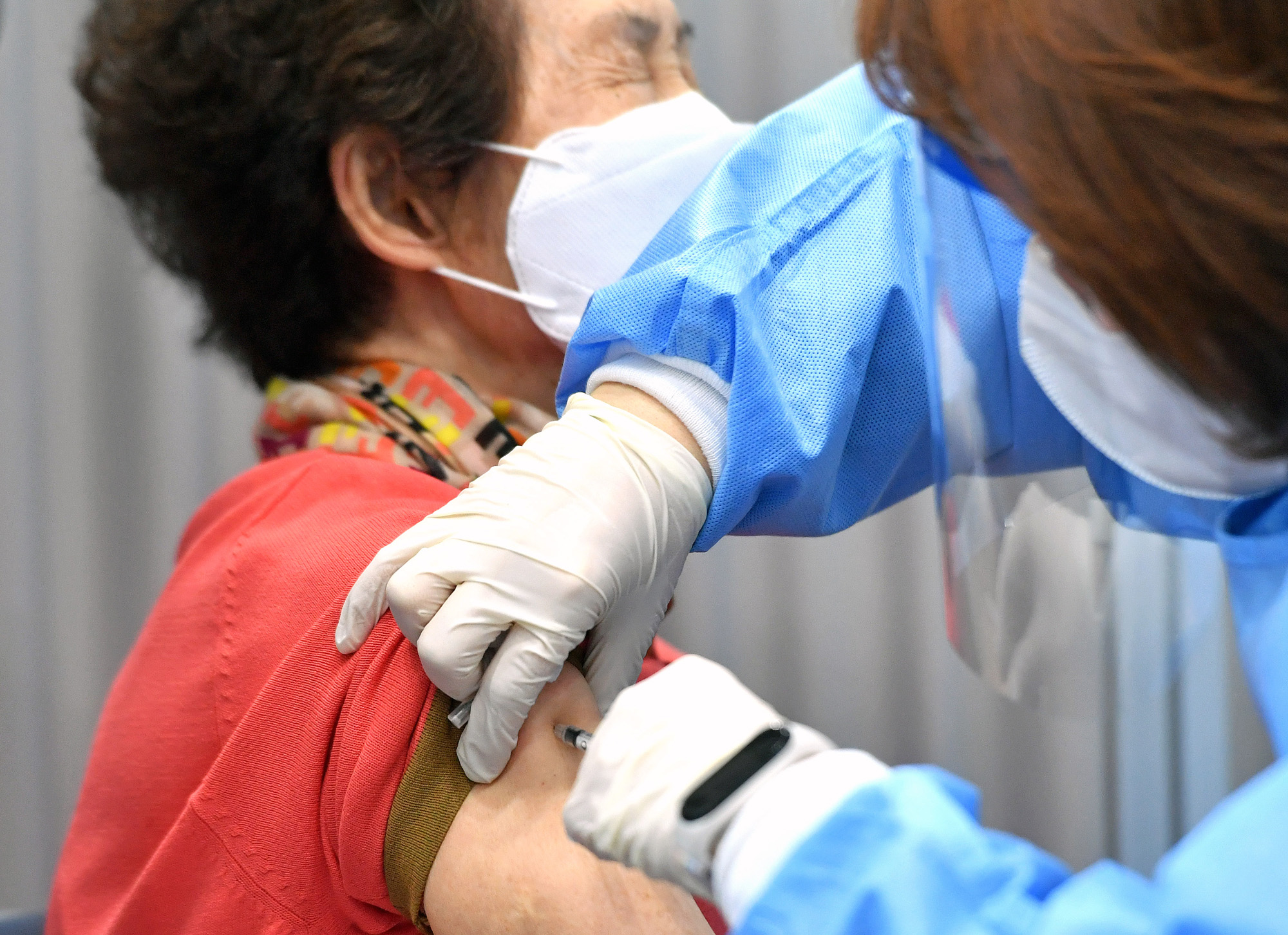 75세 이상 송파구;화이자 백신 접종