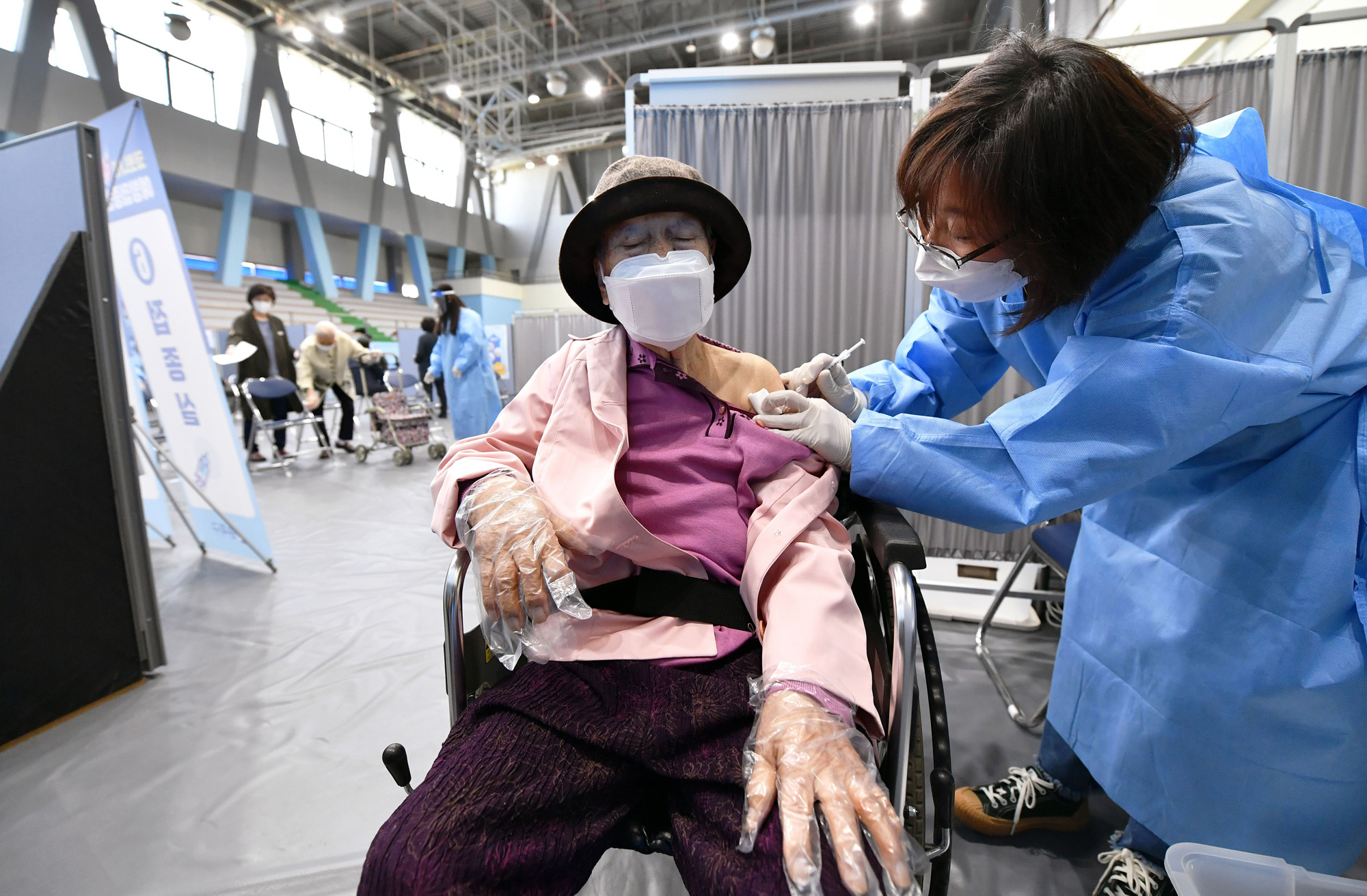 75세 이상 송파구;화이자 백신 접종